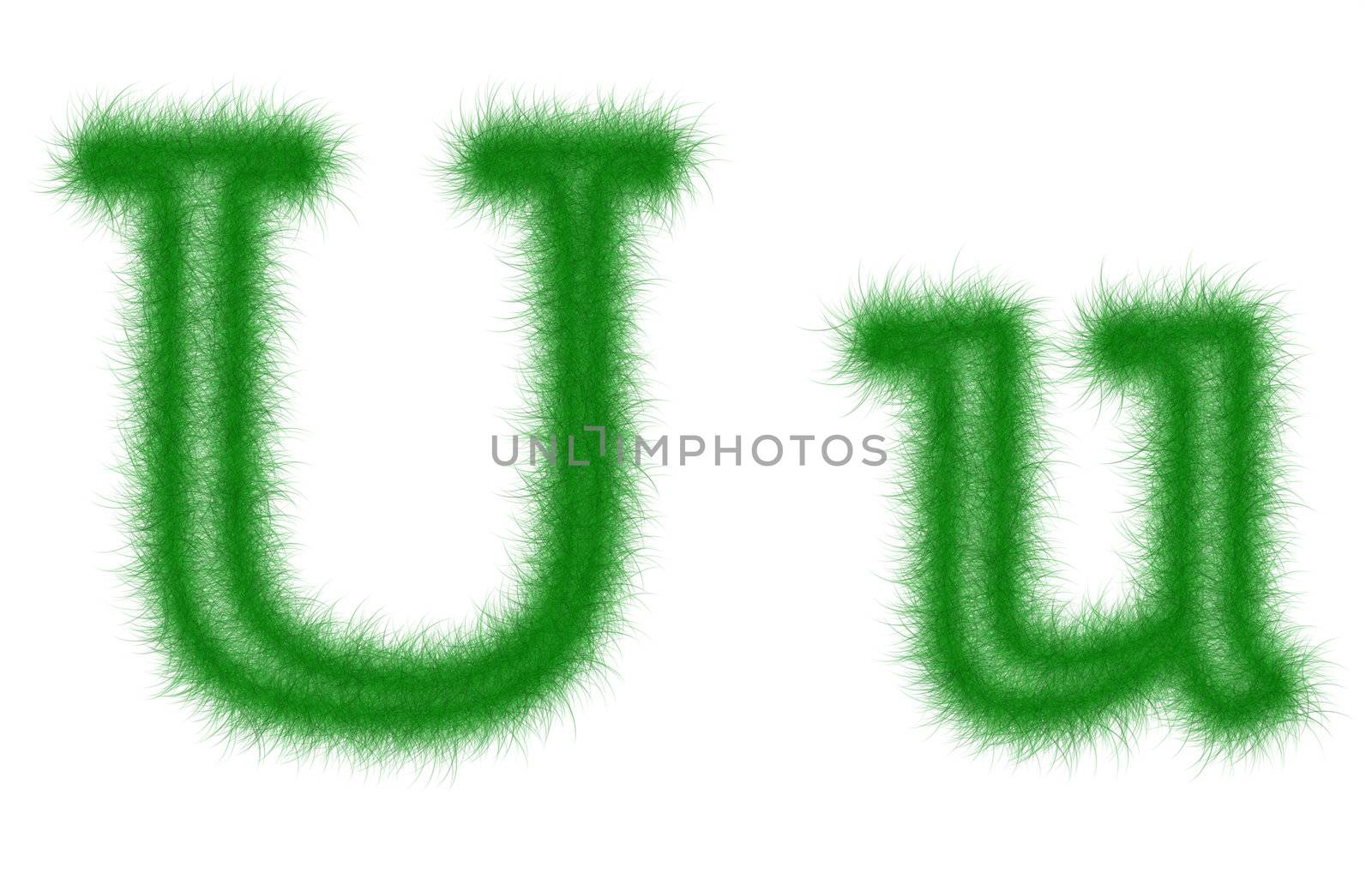 Green grass font isolated on white background