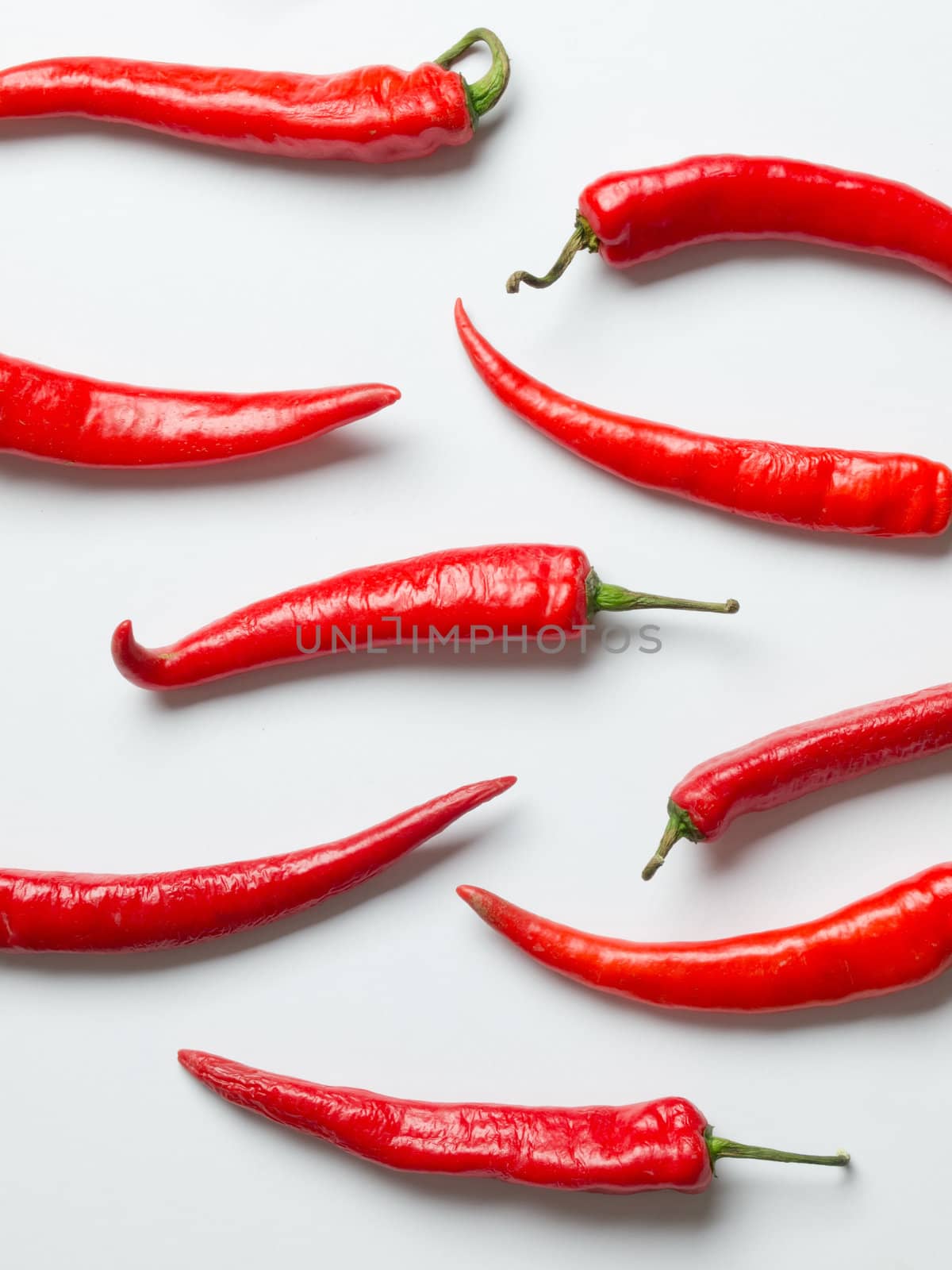 red chilies by zkruger