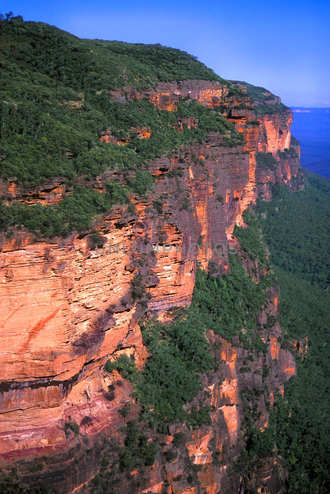 Morning sunlight illuminates a sheer cliff at Blue Mountains National Park of New South Wales, Australia.