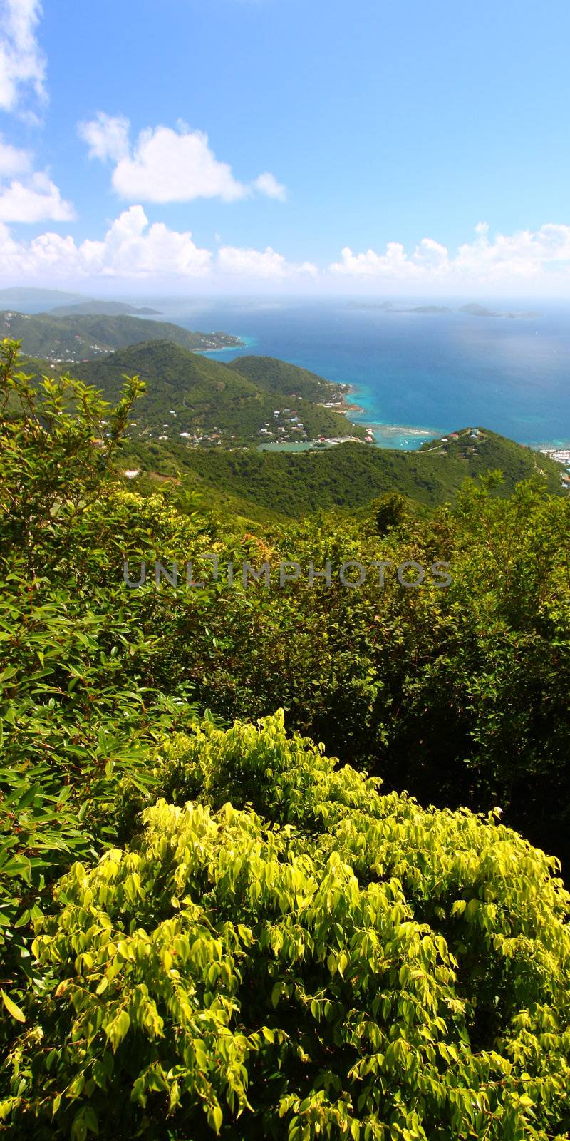 Panoramic view of Tortola from Sage Mountain National Park - British Virgin Islands.