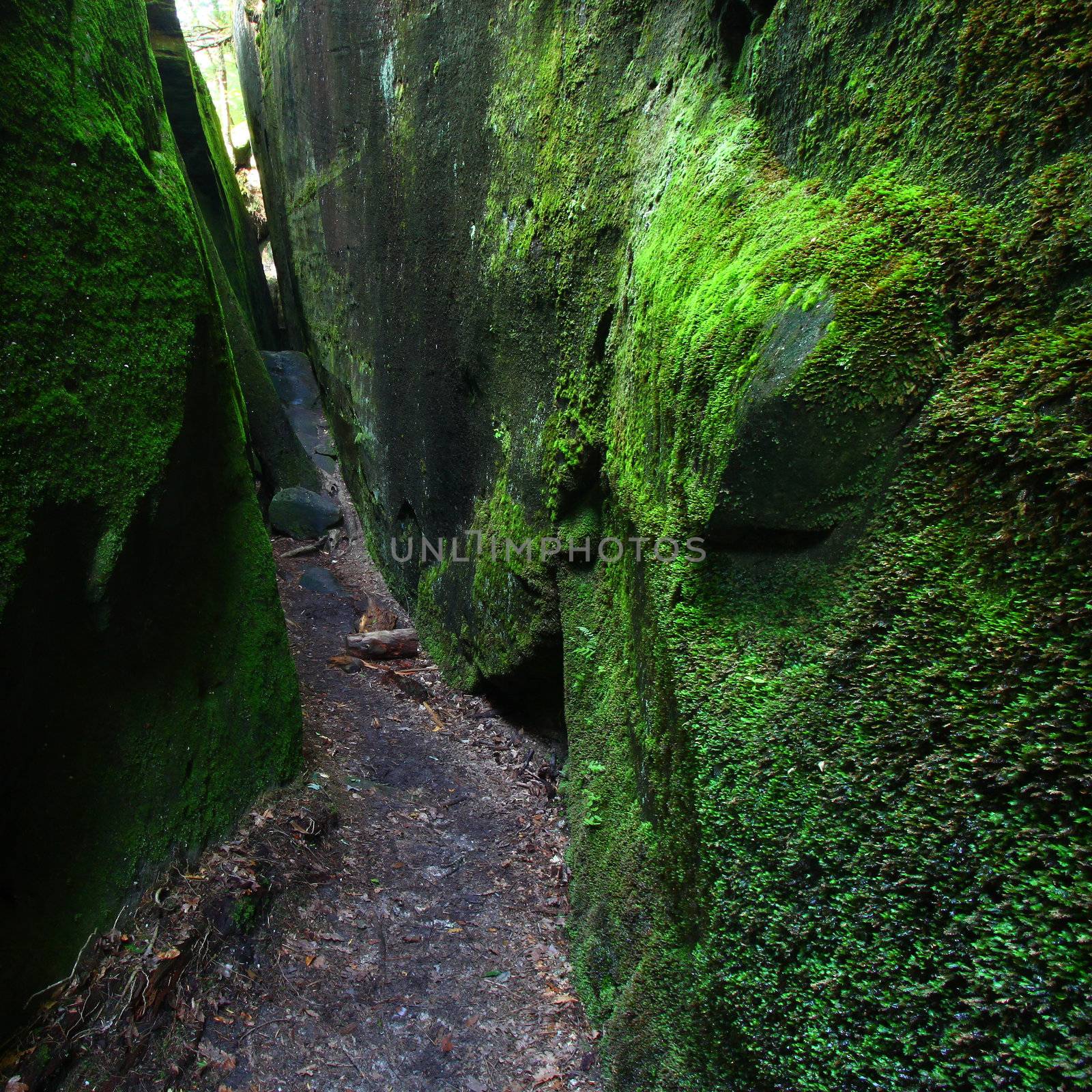A mossy narrow corridor through giant rocks in Alabama.