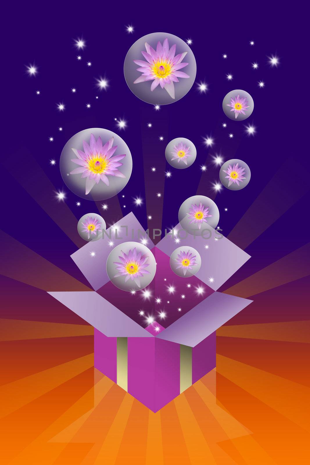 Lotus flower in bubble and gift box, Fun concept by pixbox77