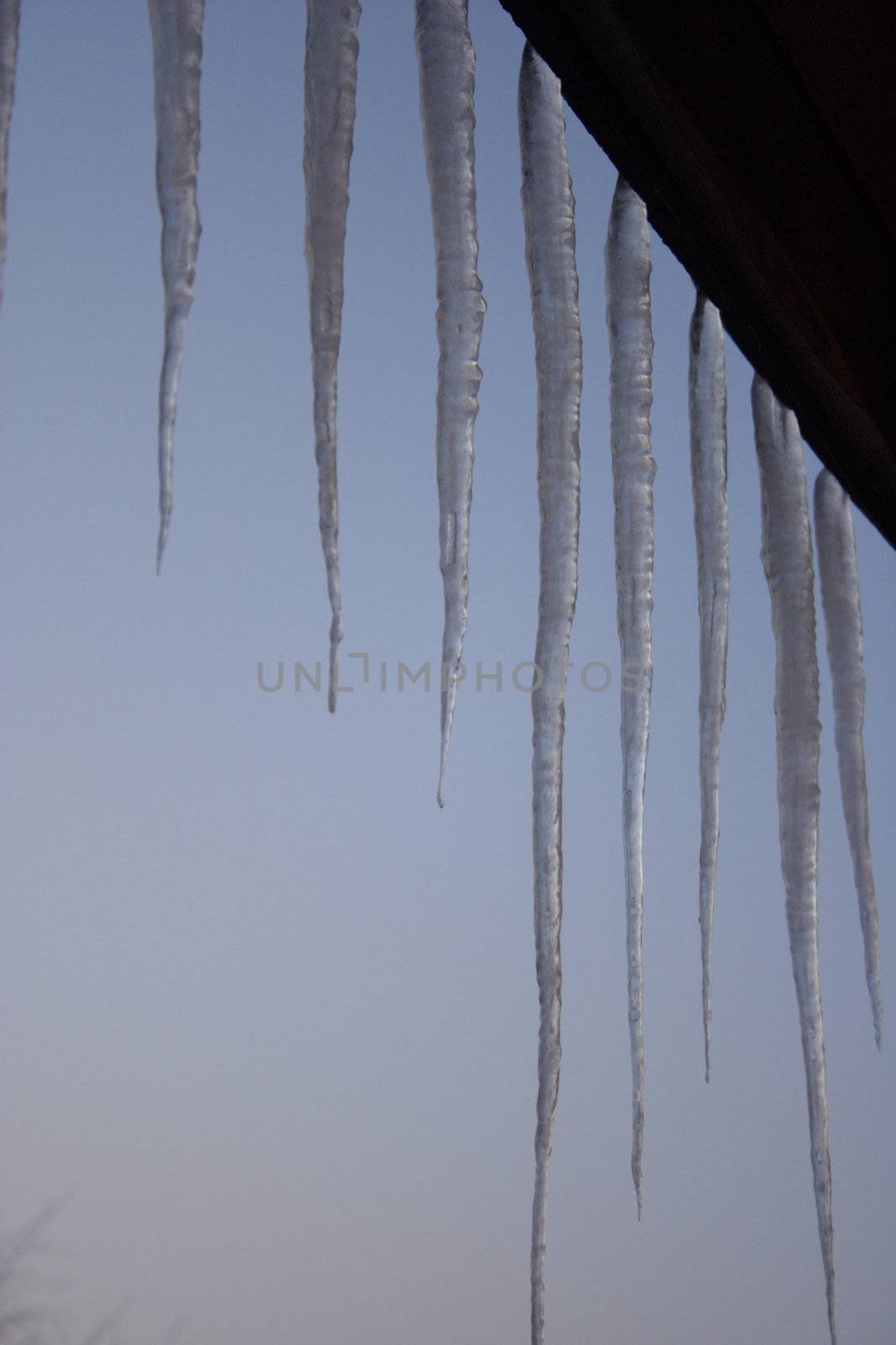 icicles by noah1974