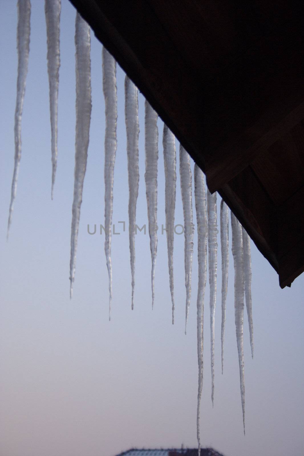 icicles by noah1974