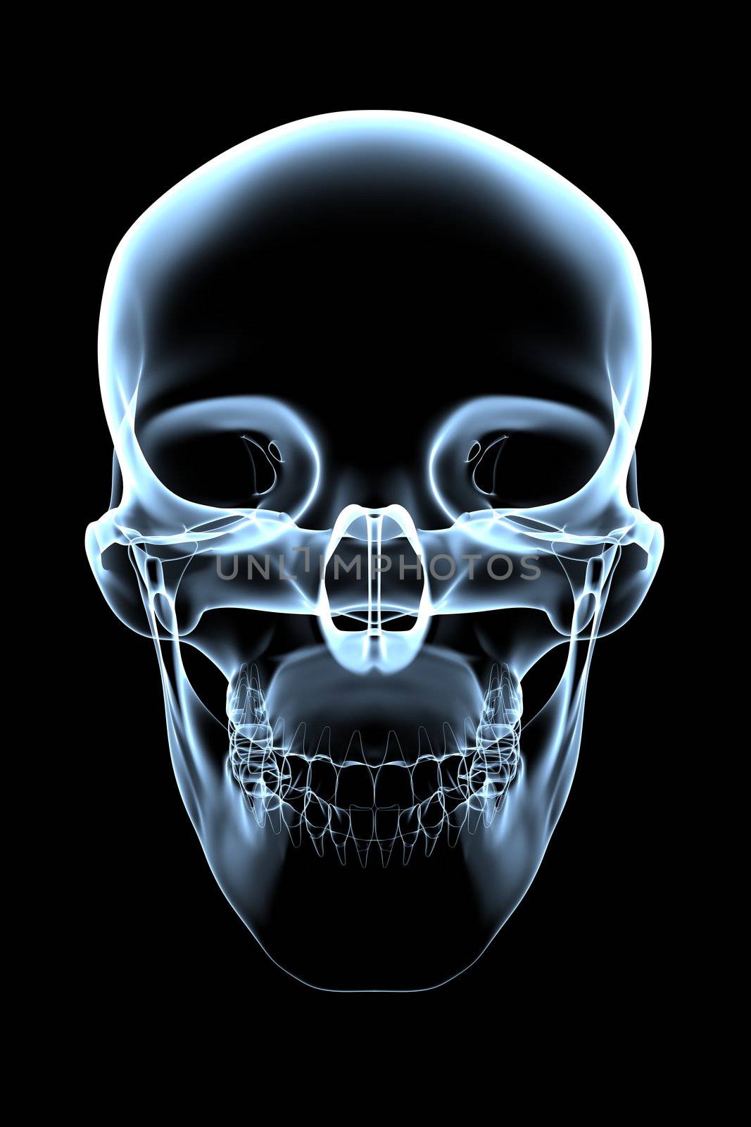 rendered bluish x-ray image of a human skull -front view