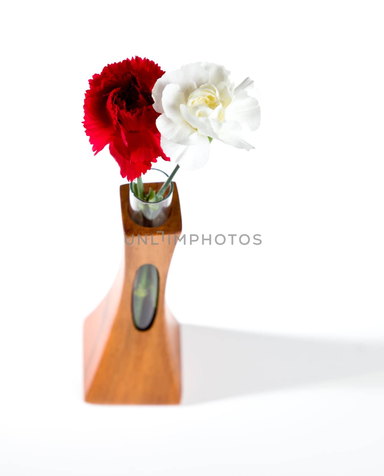 Red and white spray carnations in teak vase by steheap