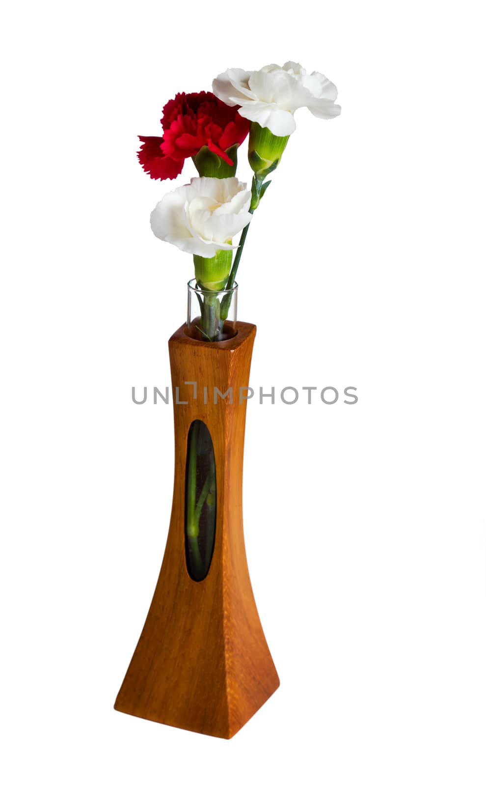 Single red and two white spray carnation blossoms in a carved teak vase with unique opening showing the stem