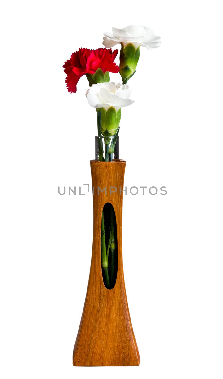 Single red and two white spray carnation blossoms in a carved teak vase with unique opening showing the stem