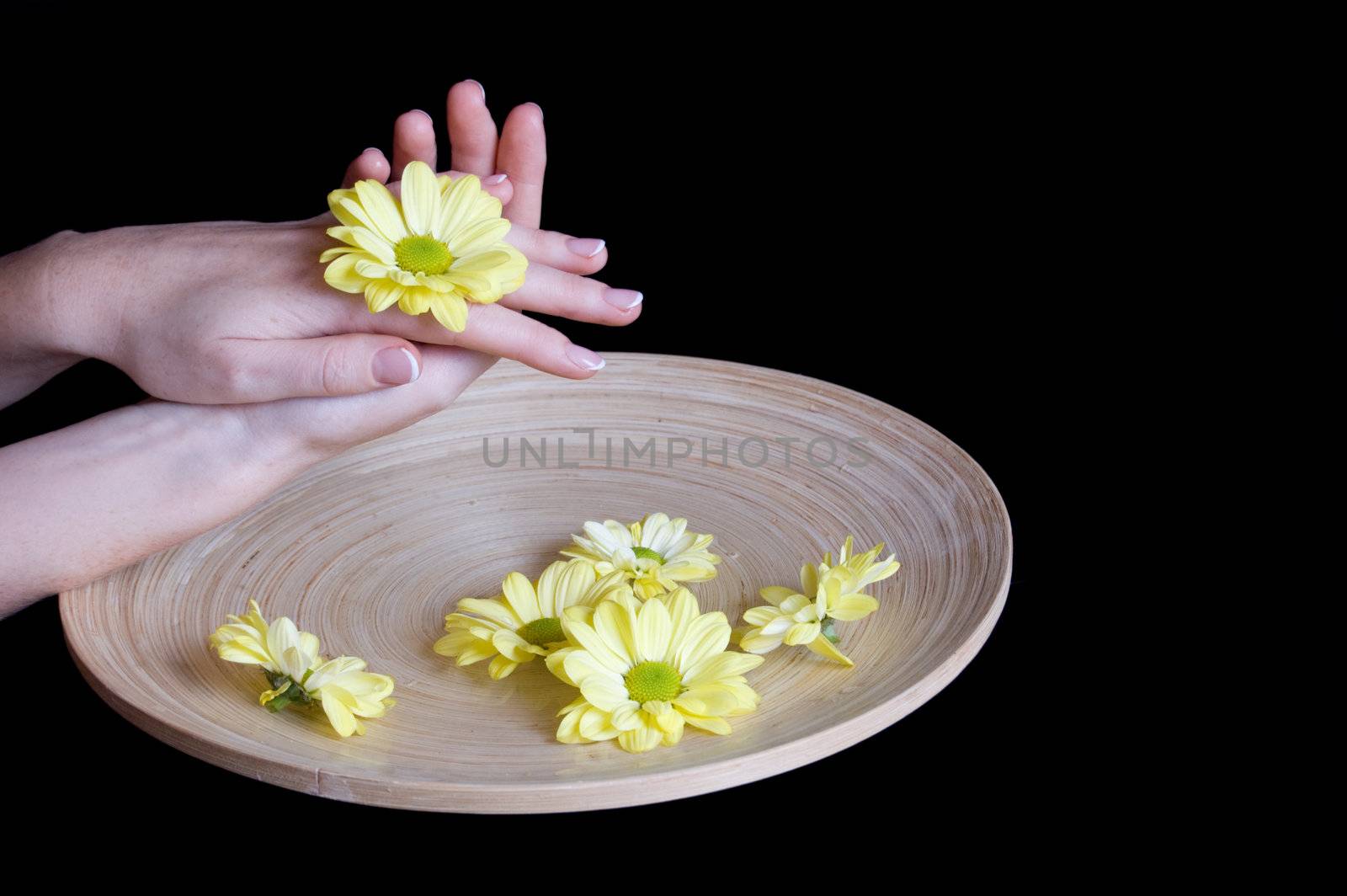 Woman hands and flower in bucket of water isolated on black