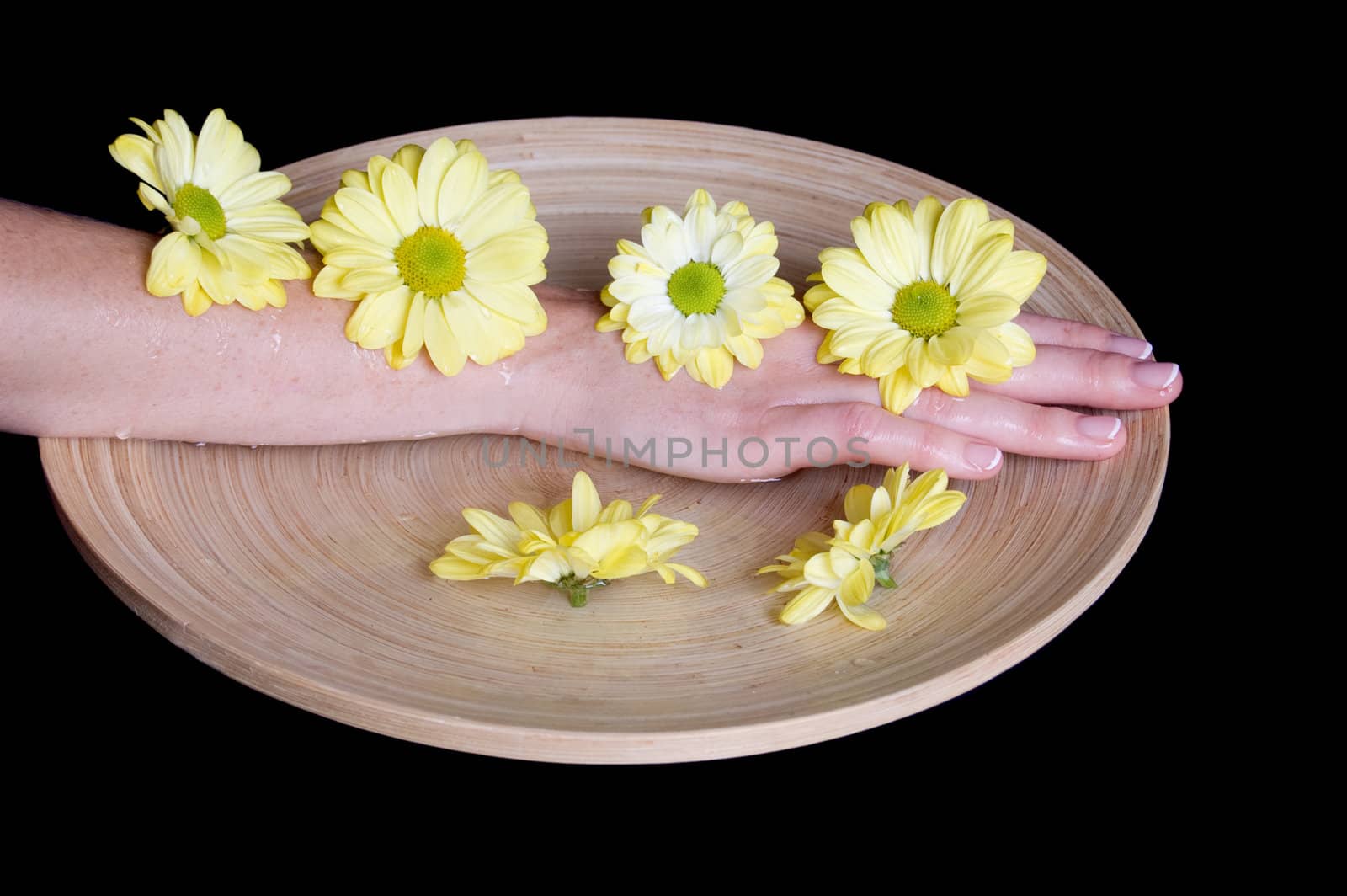 Woman hands and flower in bucket of water isolatedon black
