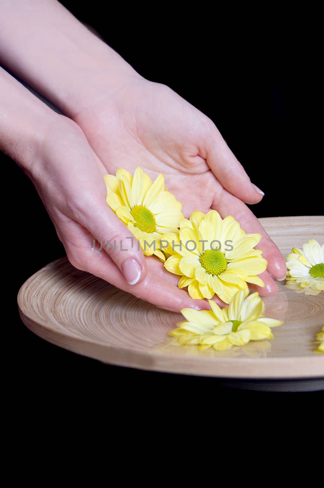 Woman hands and flower in bucket of water isolatedon black