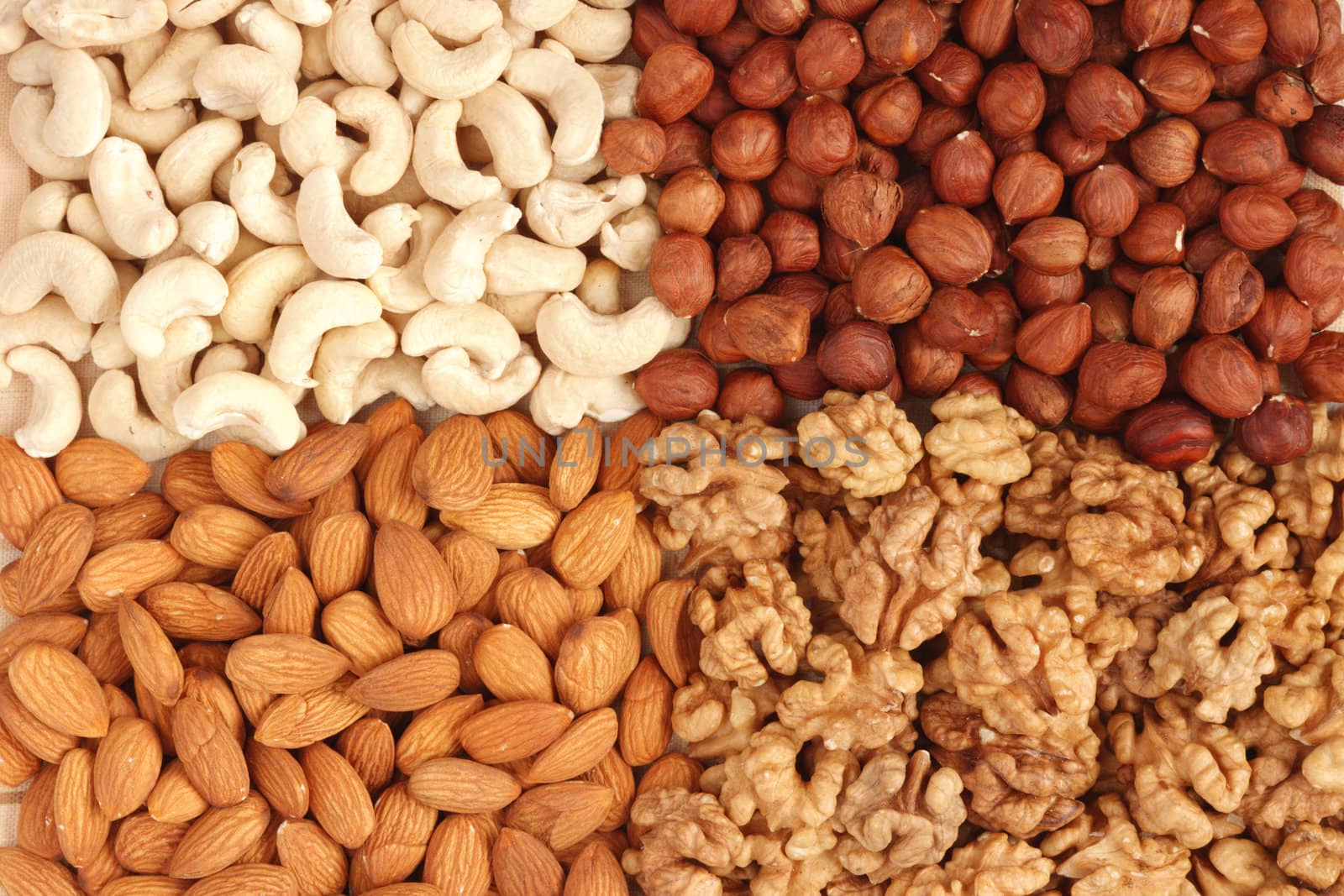 Different  nuts (almons, cashews, walnuts and filbers) close up by dimol