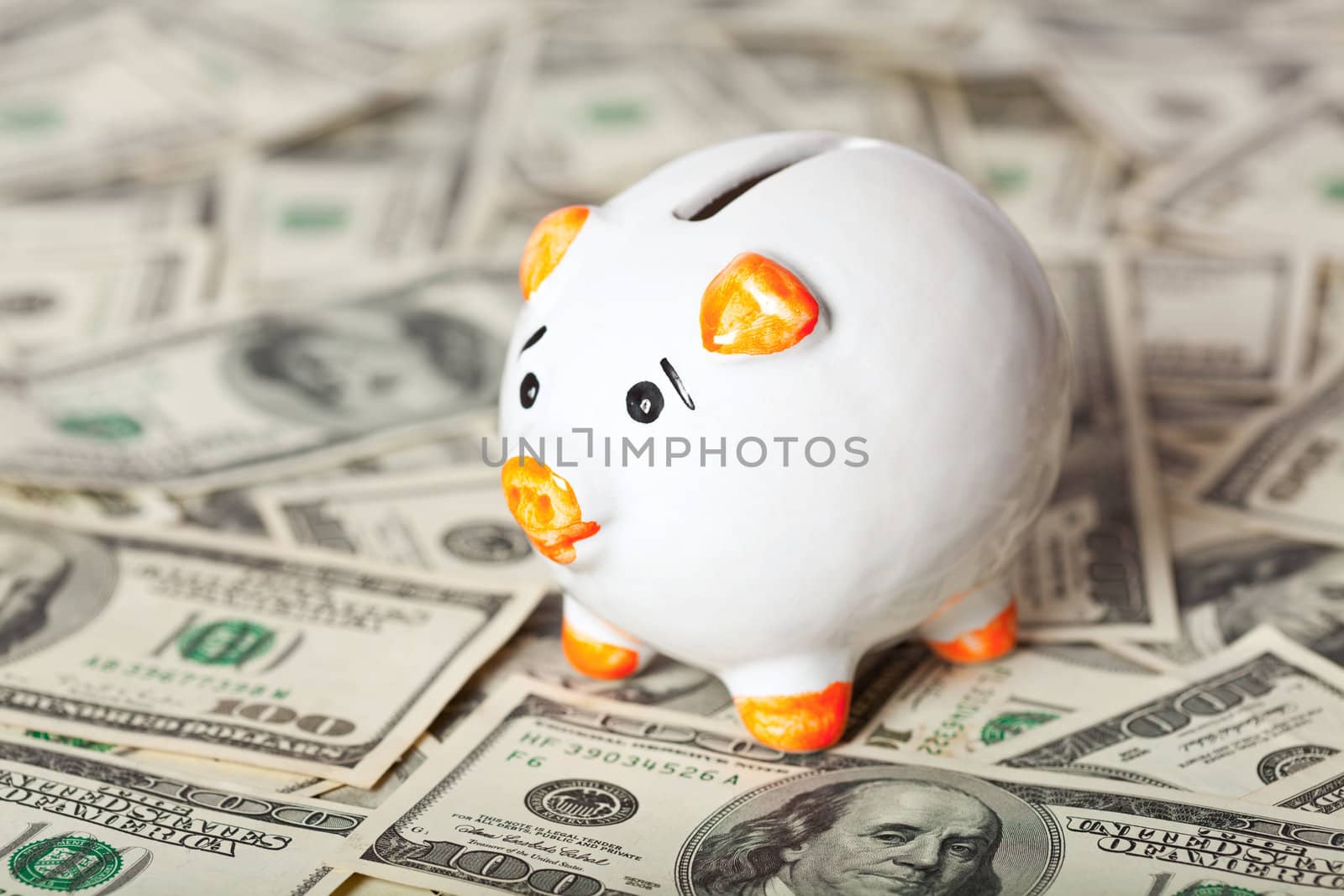 Piggy bank on dollars by dimol