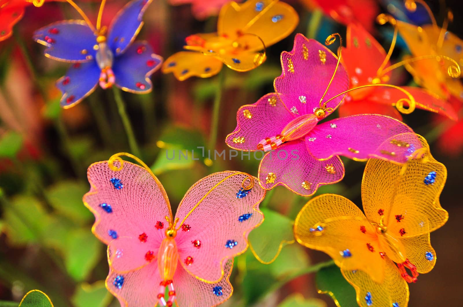 ornamental butterfly by samurai