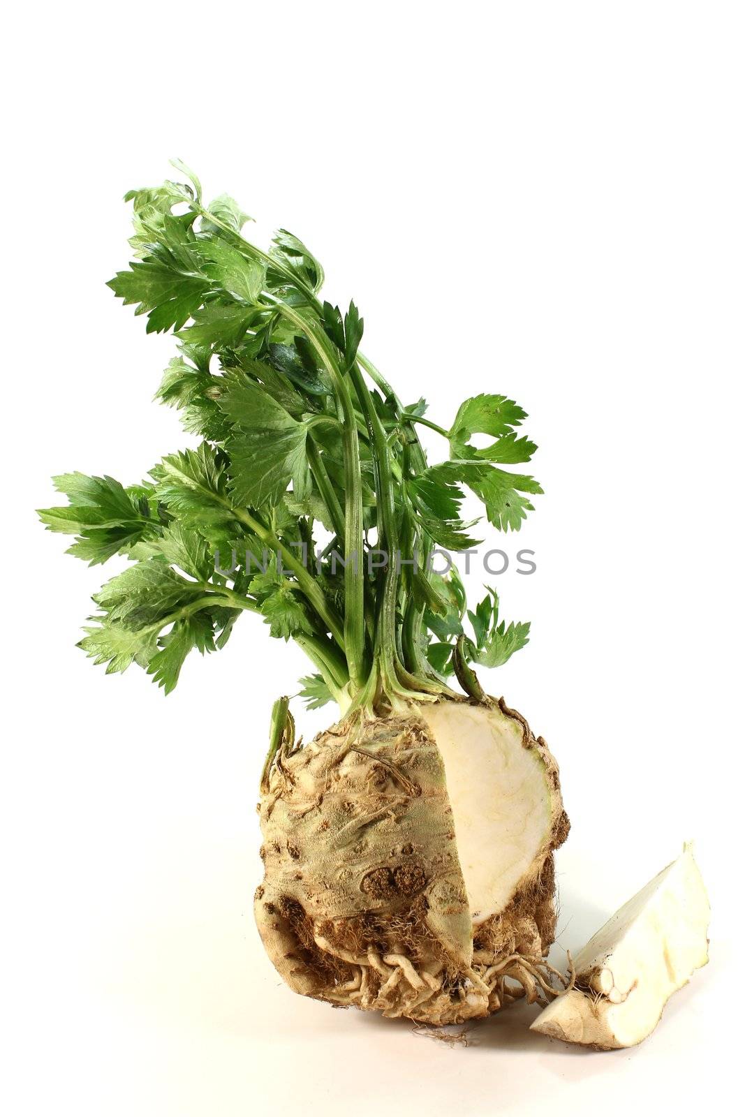 capped celery with green leaves on white background