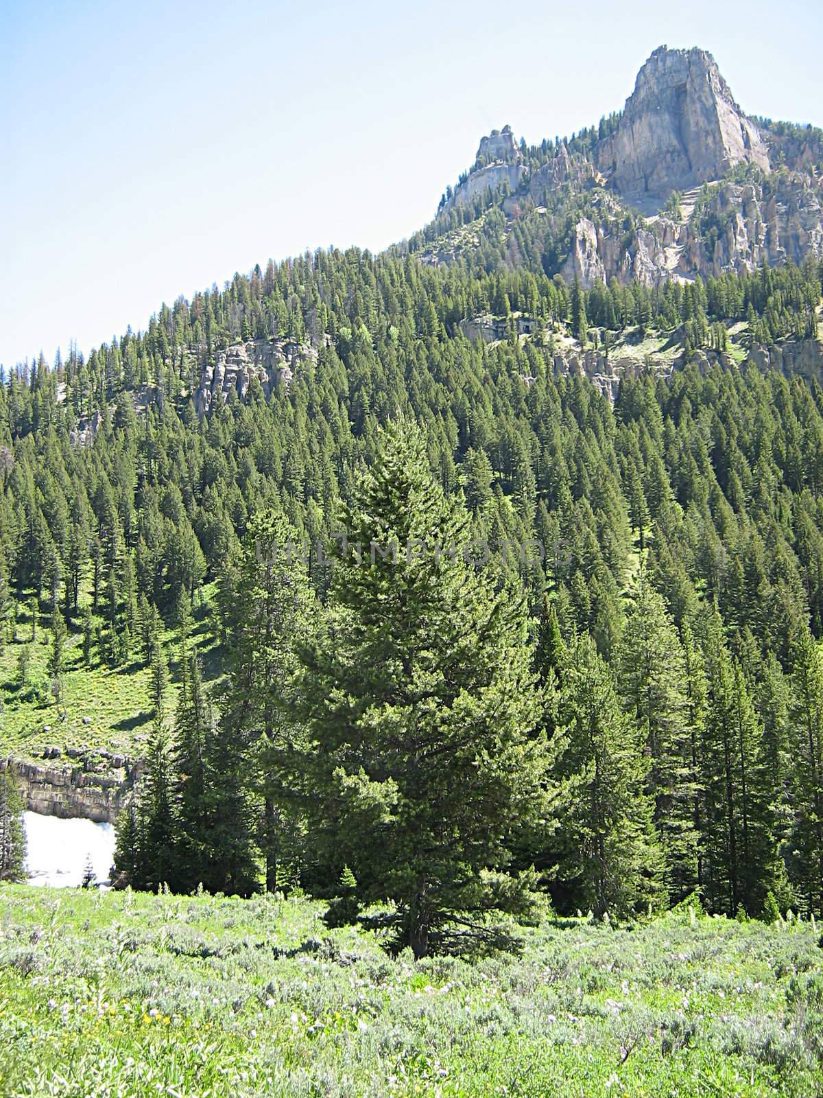 A photograph of mountain scenery in the United States.