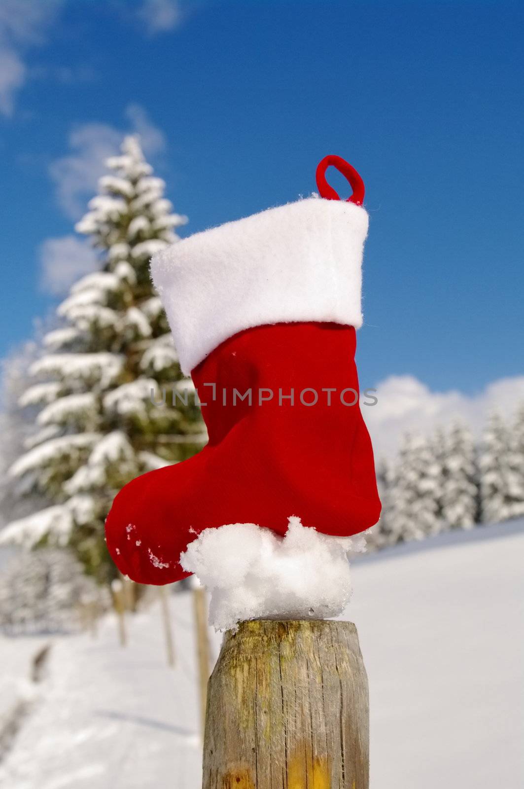 a red bauble in a winter landscape