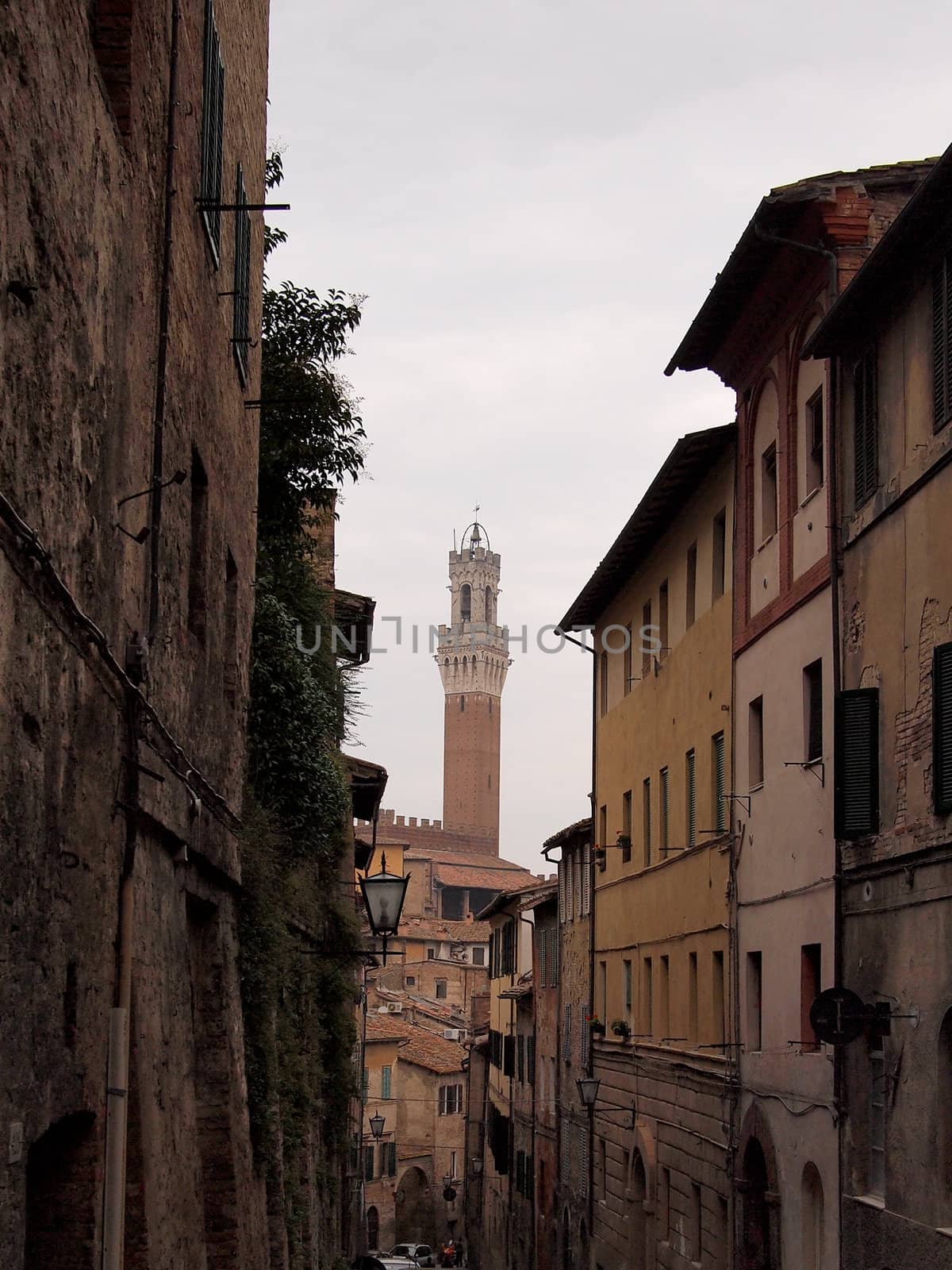 View on the Torre del Mangia from a medieval alley in Siena, Tuscany, Italy.