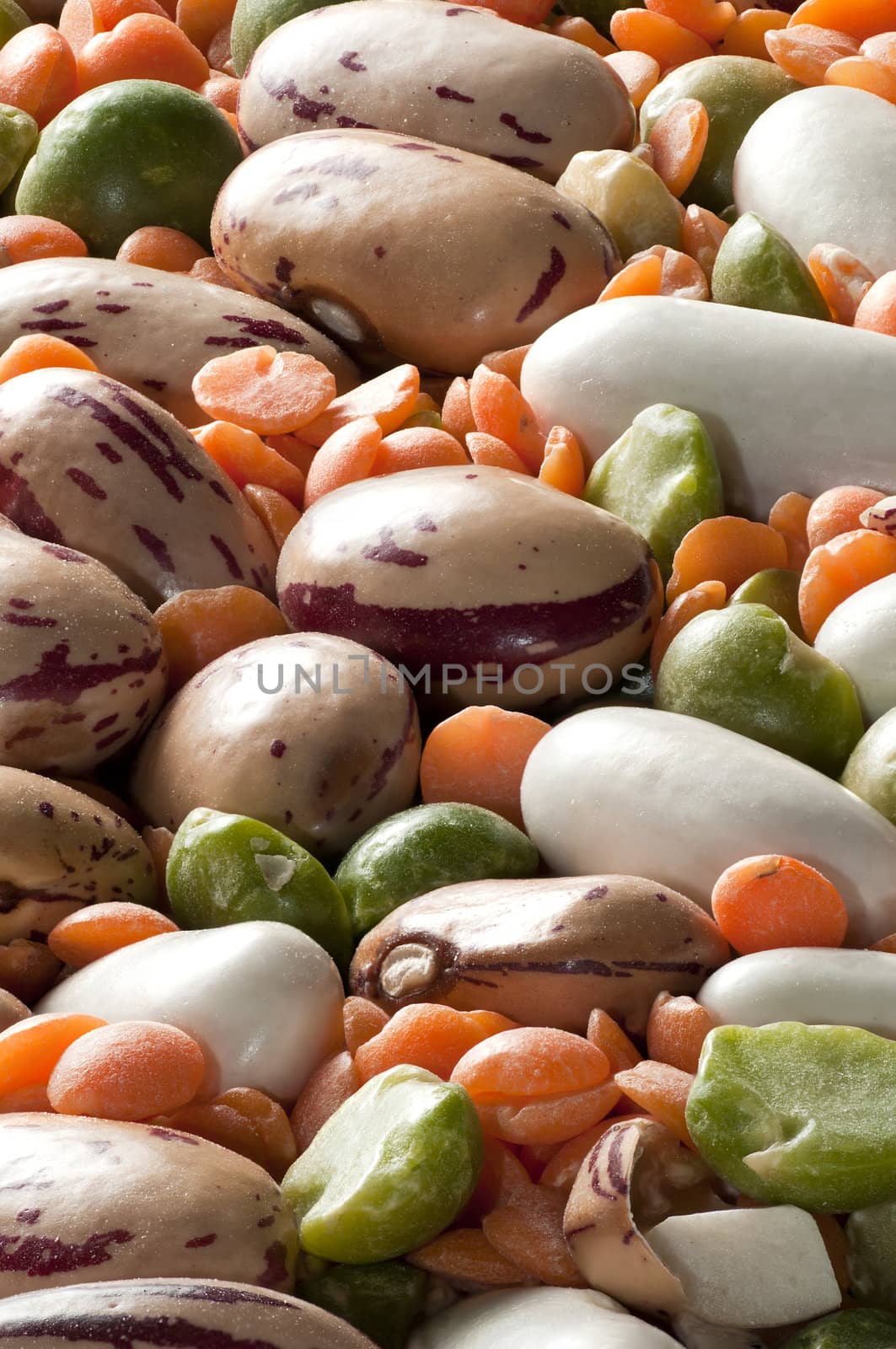 Variety of pulses essential for human life: beans, peas, lentils.