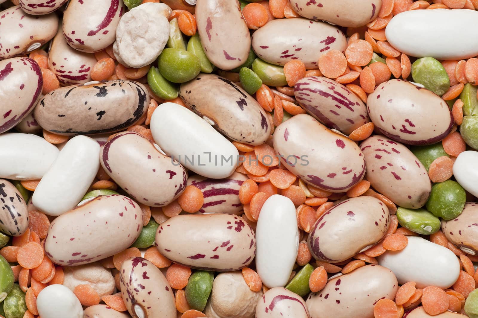 Variety of pulses essential for human life: beans, peas, lentils.
