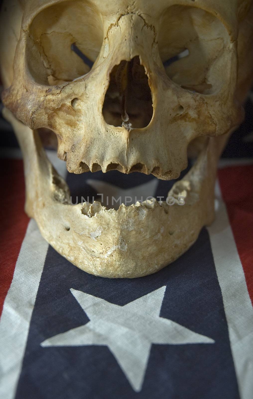 real skull detail on Flag of the Confederate States of America. star detail.