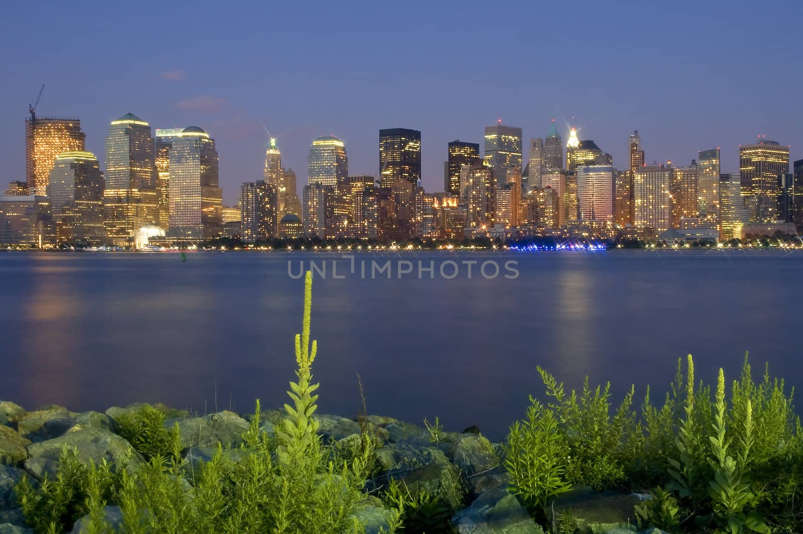 night manhattan scene, photo taken from new jersey, plants in foreground, hudson river