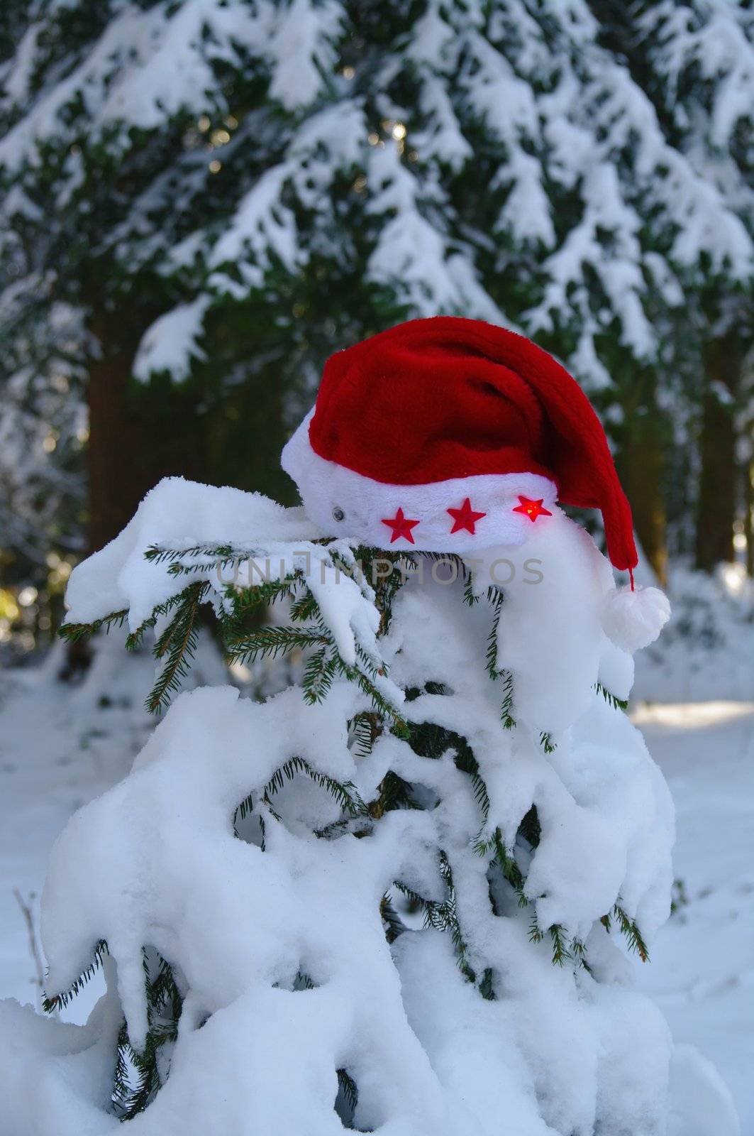 red santa claus hats in a snowy landscape