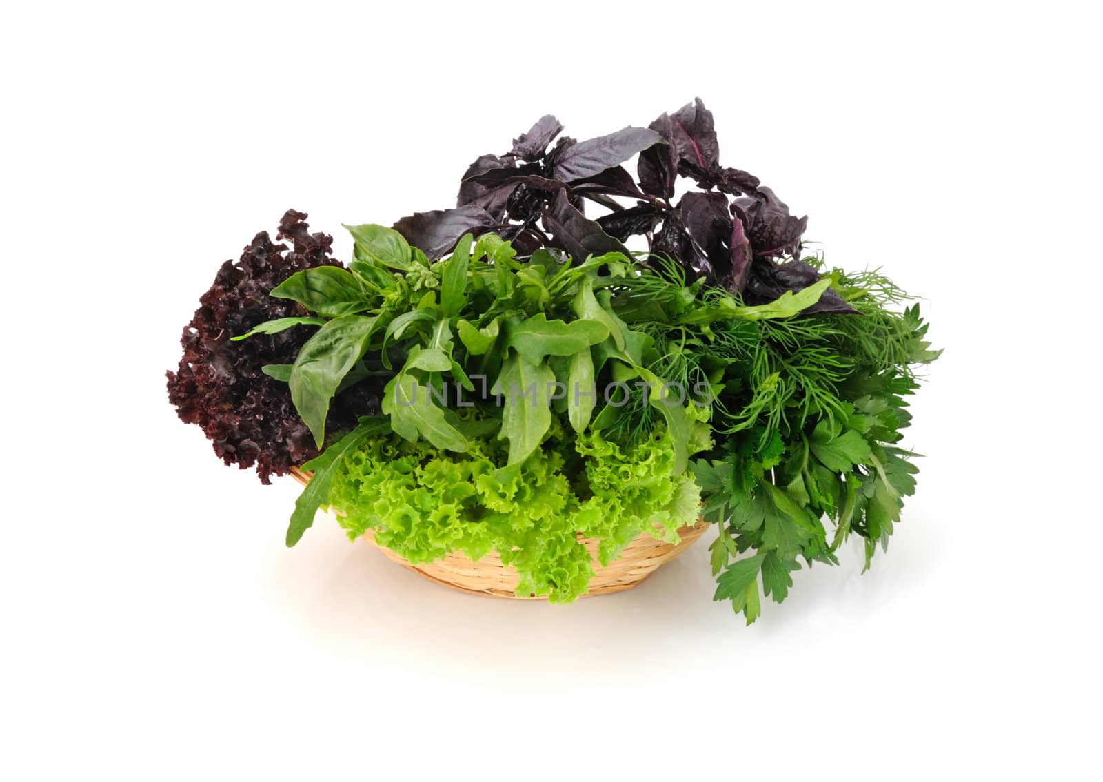 Basket with fresh herbs: basil, lettuce, parsley and arugula isolated