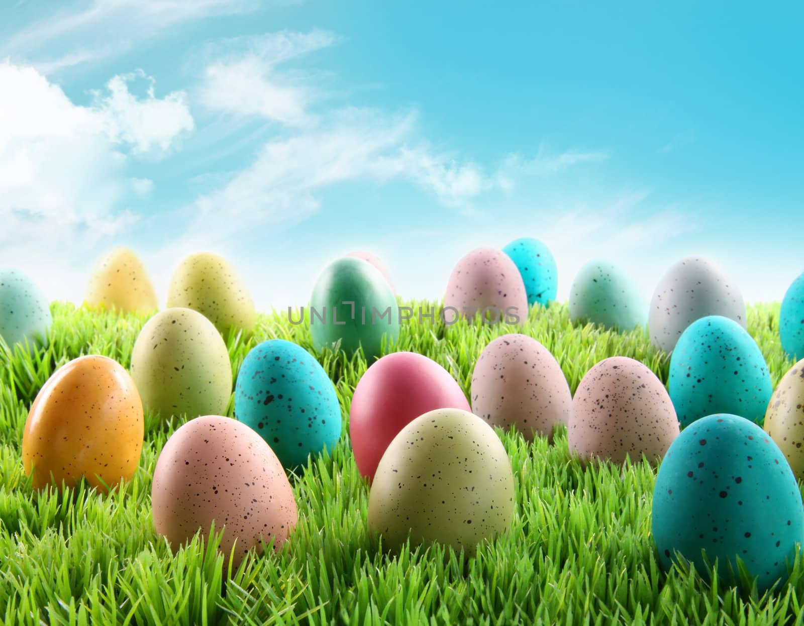 Colorful Easter eggs in a field of grass by Sandralise