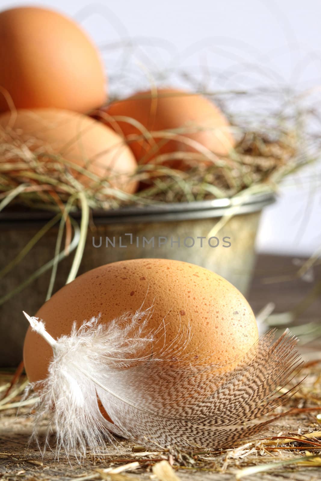 Closeup of brown eggs with straw  by Sandralise