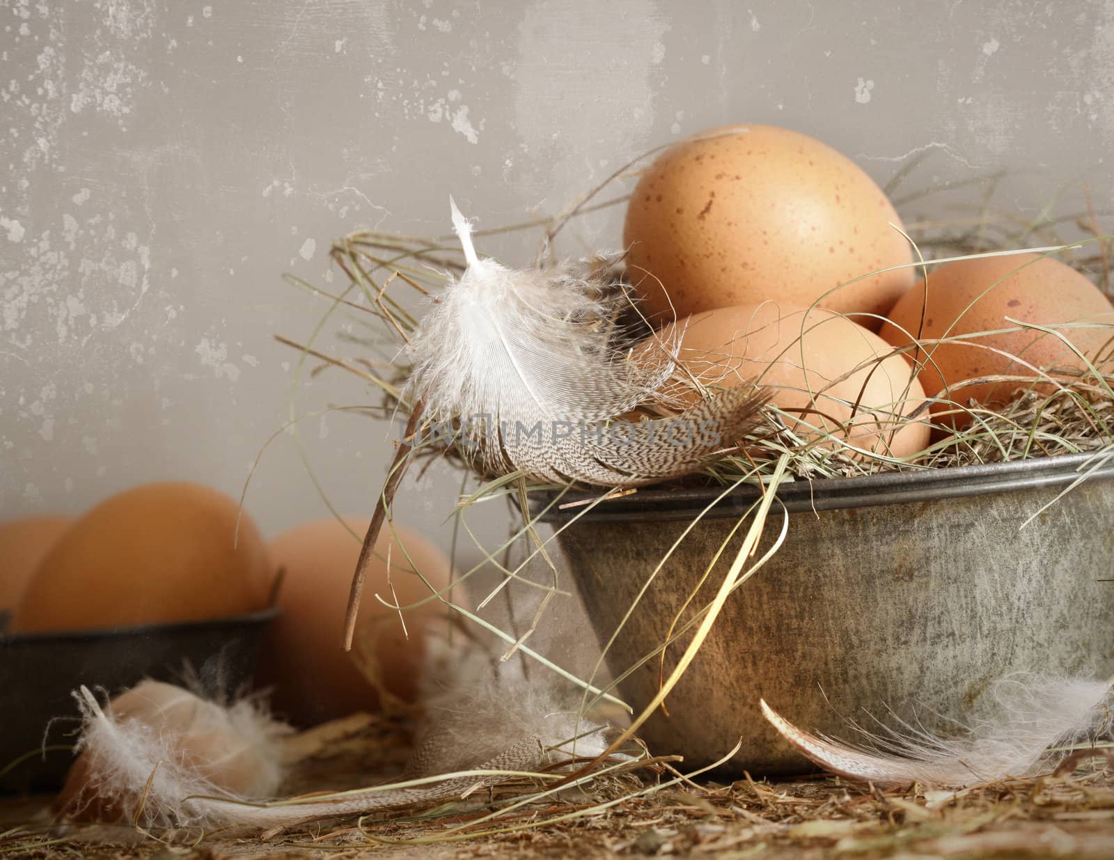 Brown speckled eggs with straw in old tin bowl