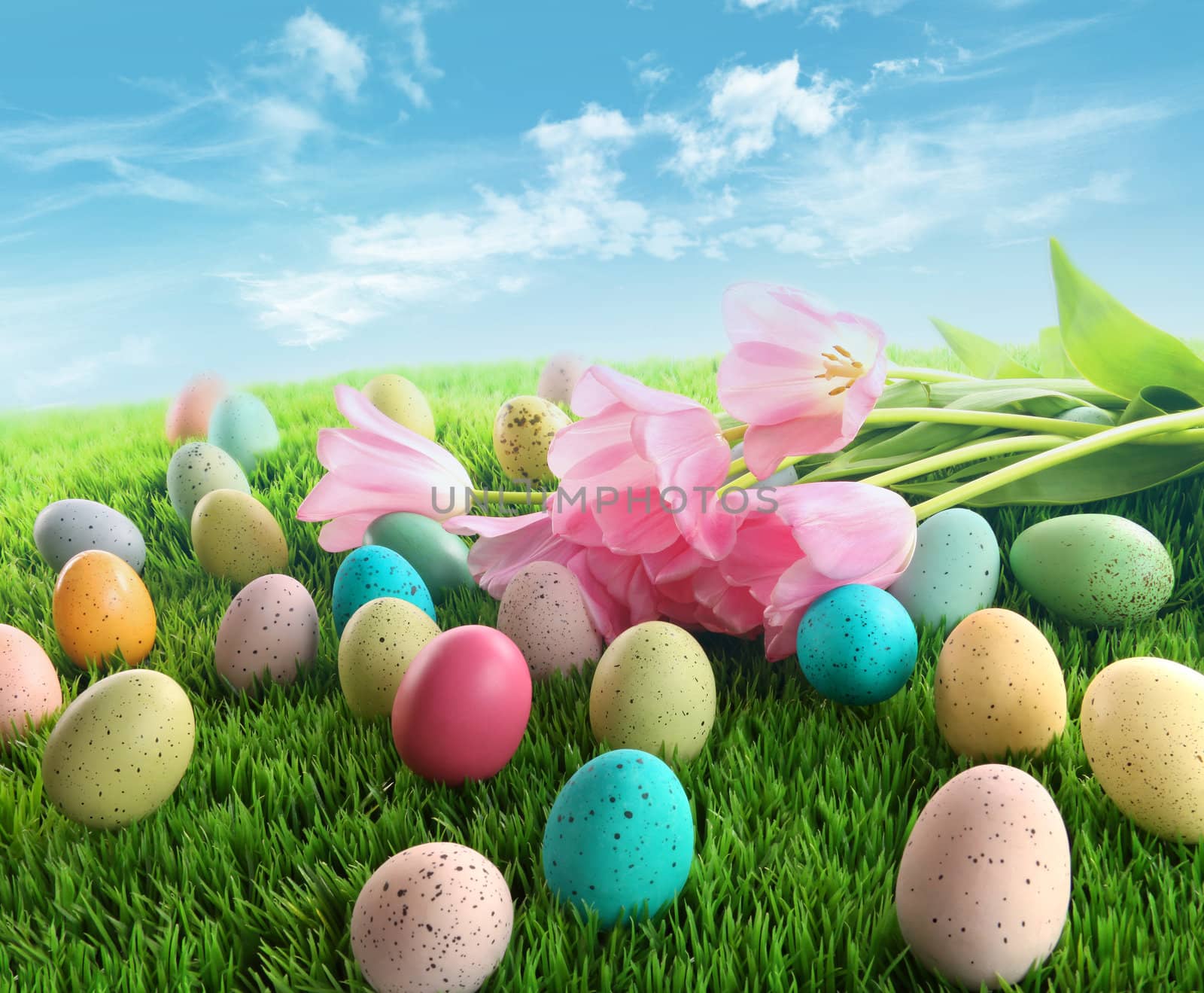 Easter eggs with pink tulips on grass with blue sky