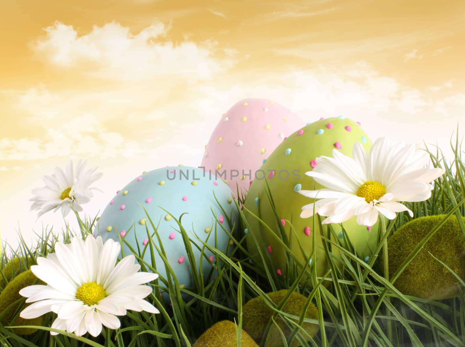 Closeup of decorated easter eggs in the grass with daisies
