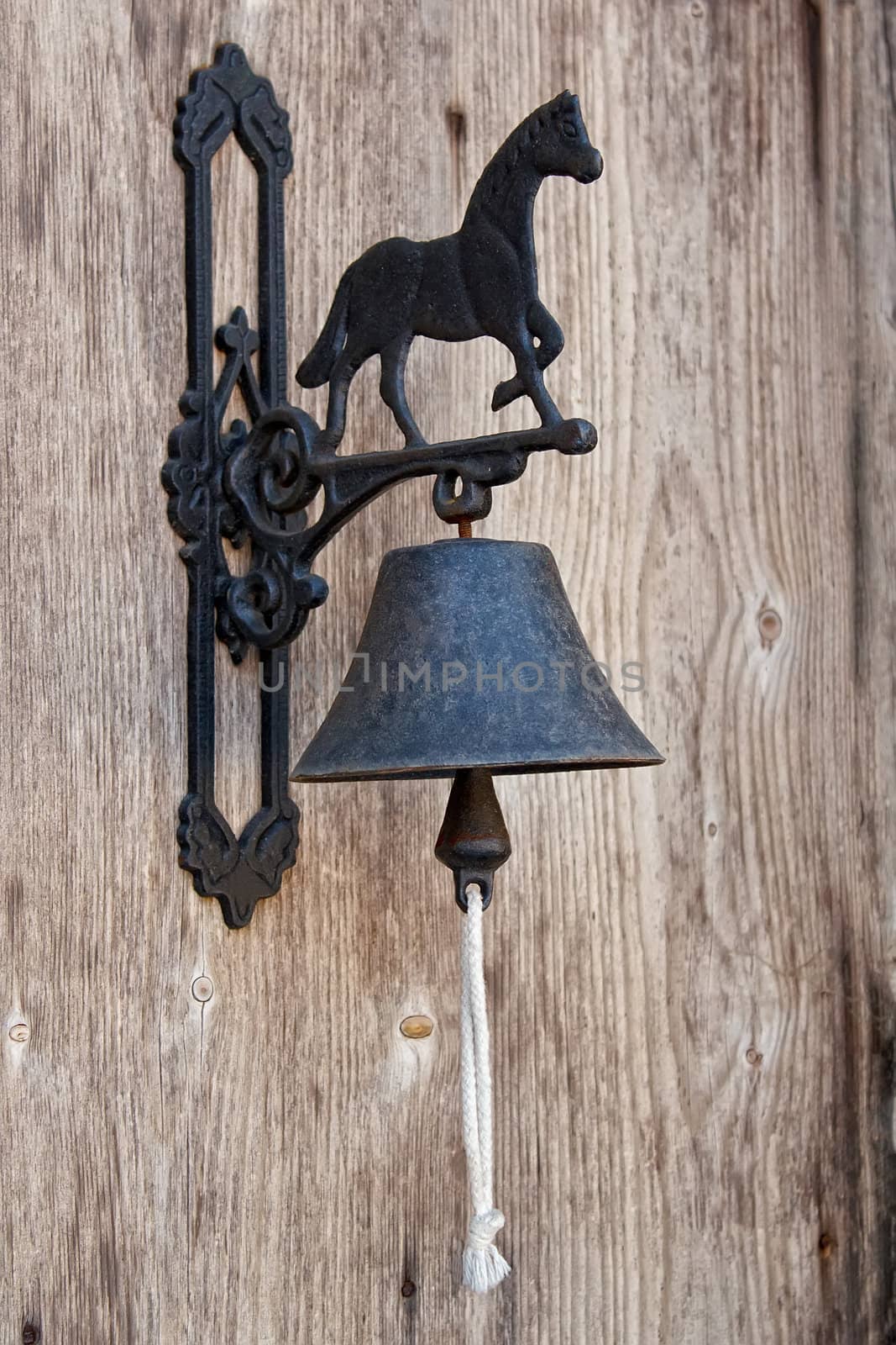 Classic Door Bell with silhouette of horse