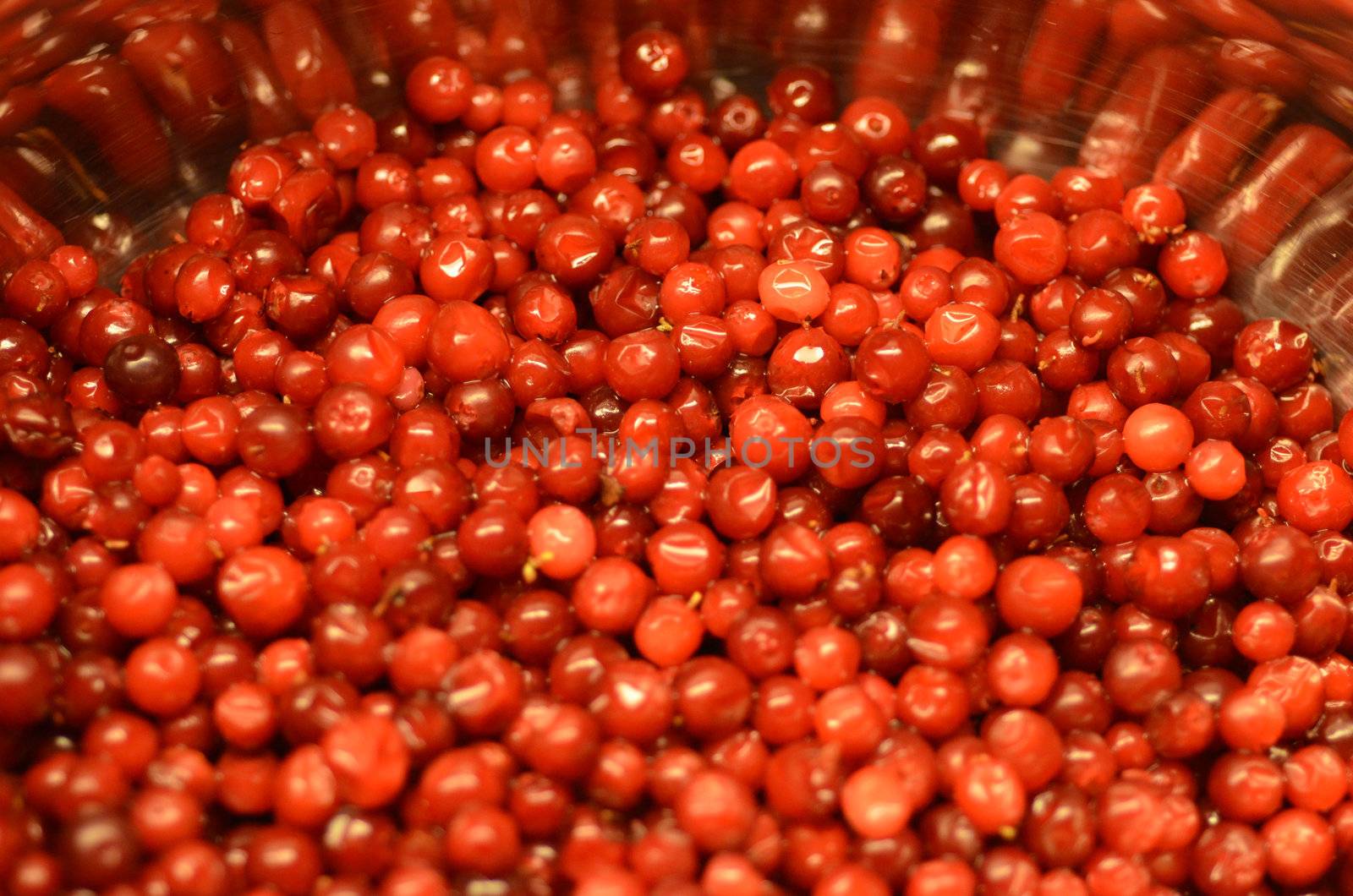 A kettle full of cowberries.