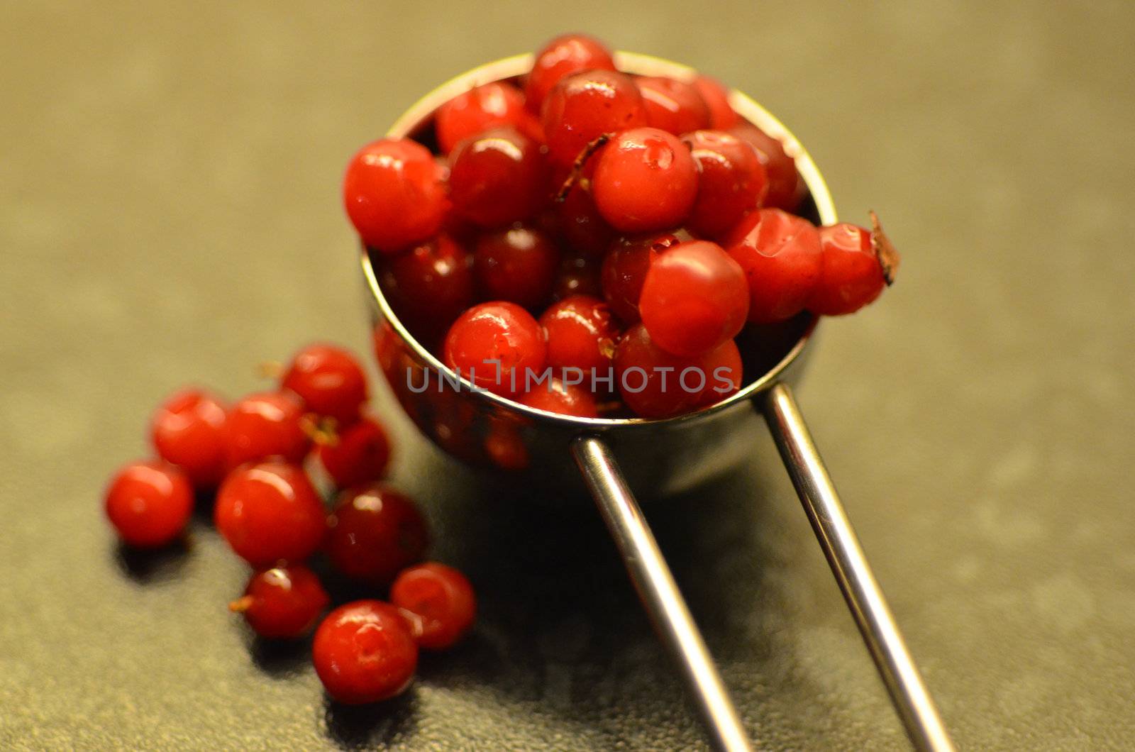 A spoonful of lingonberries.