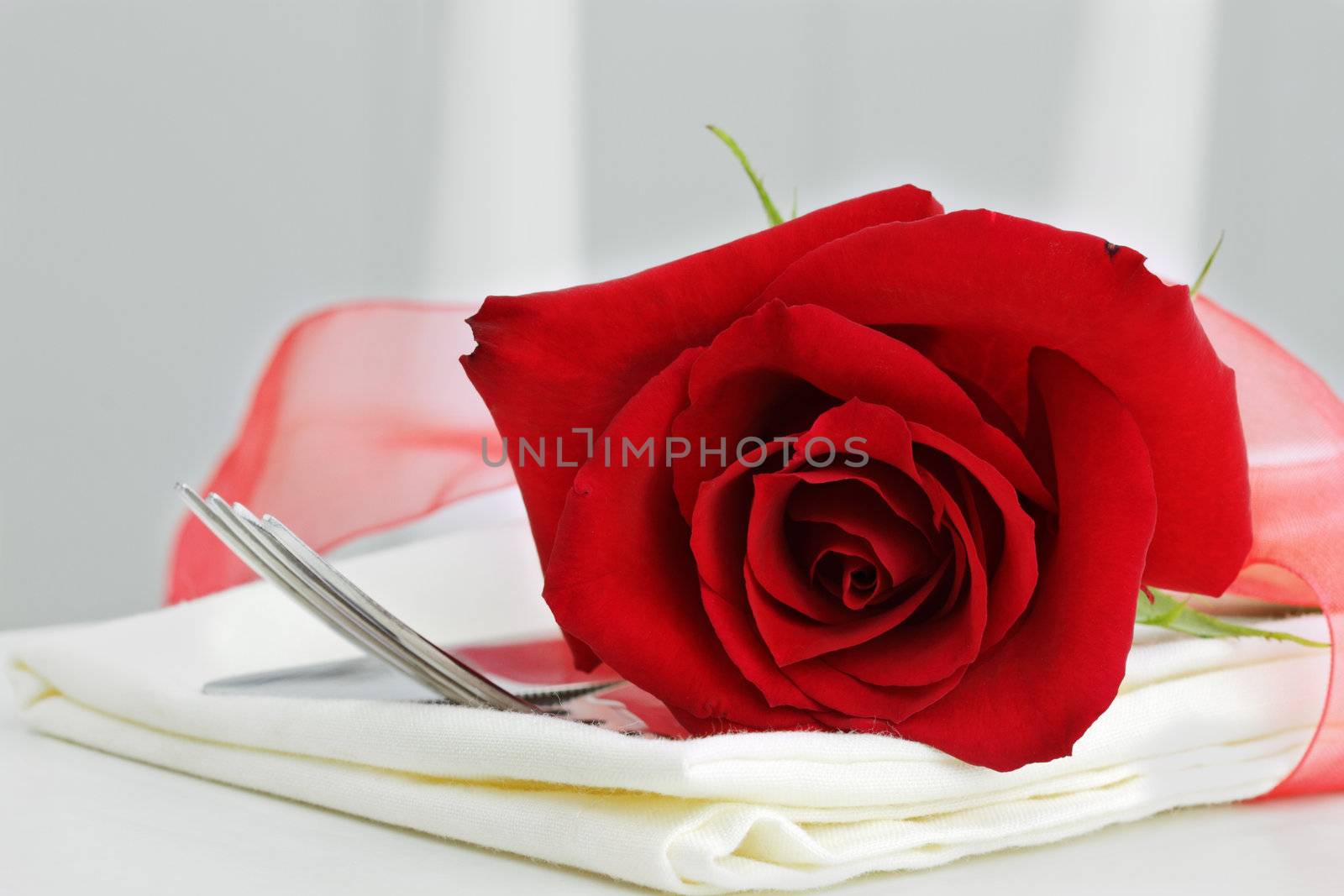 Close up of a beautiful red rose with dinnerware. Selective focus with some blur on lower portion of image.