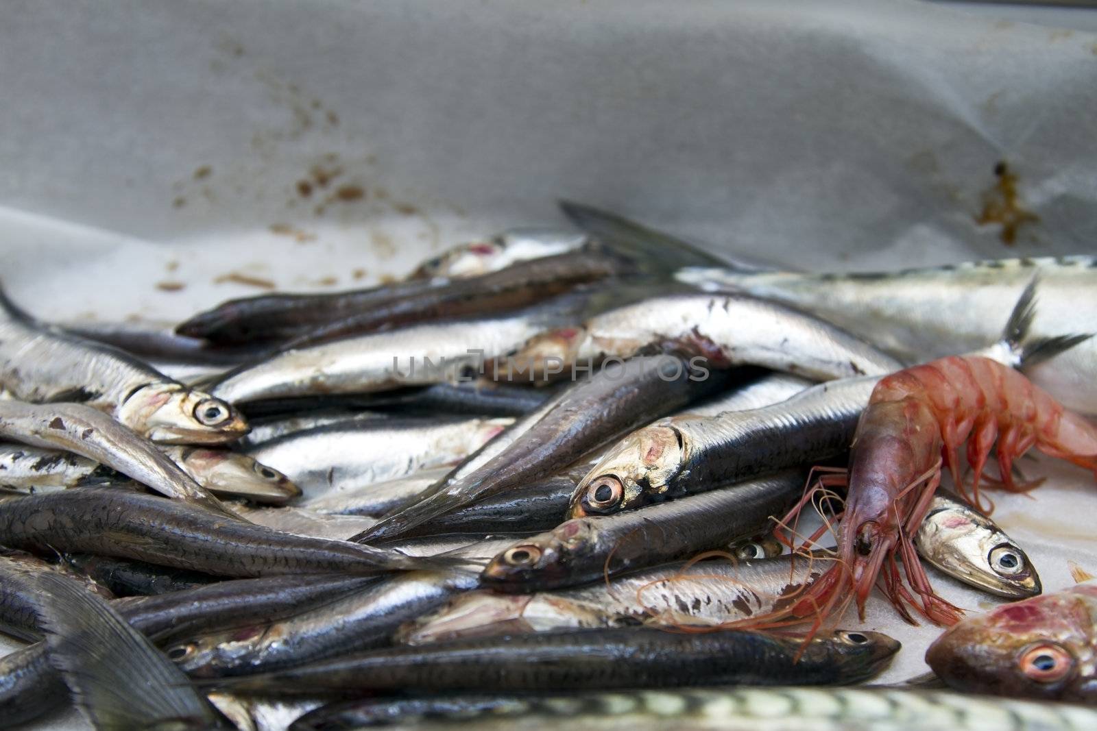Fish and shrimp ready for use in cooking