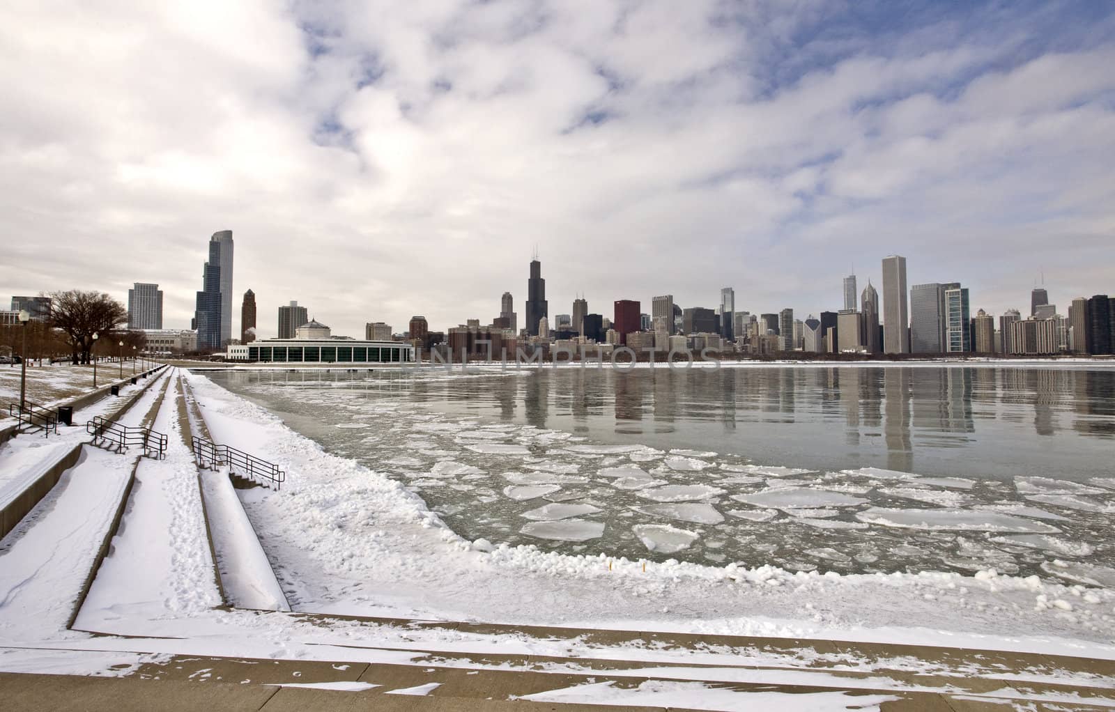 Chicago Downtown City  Lake Michigan by pictureguy