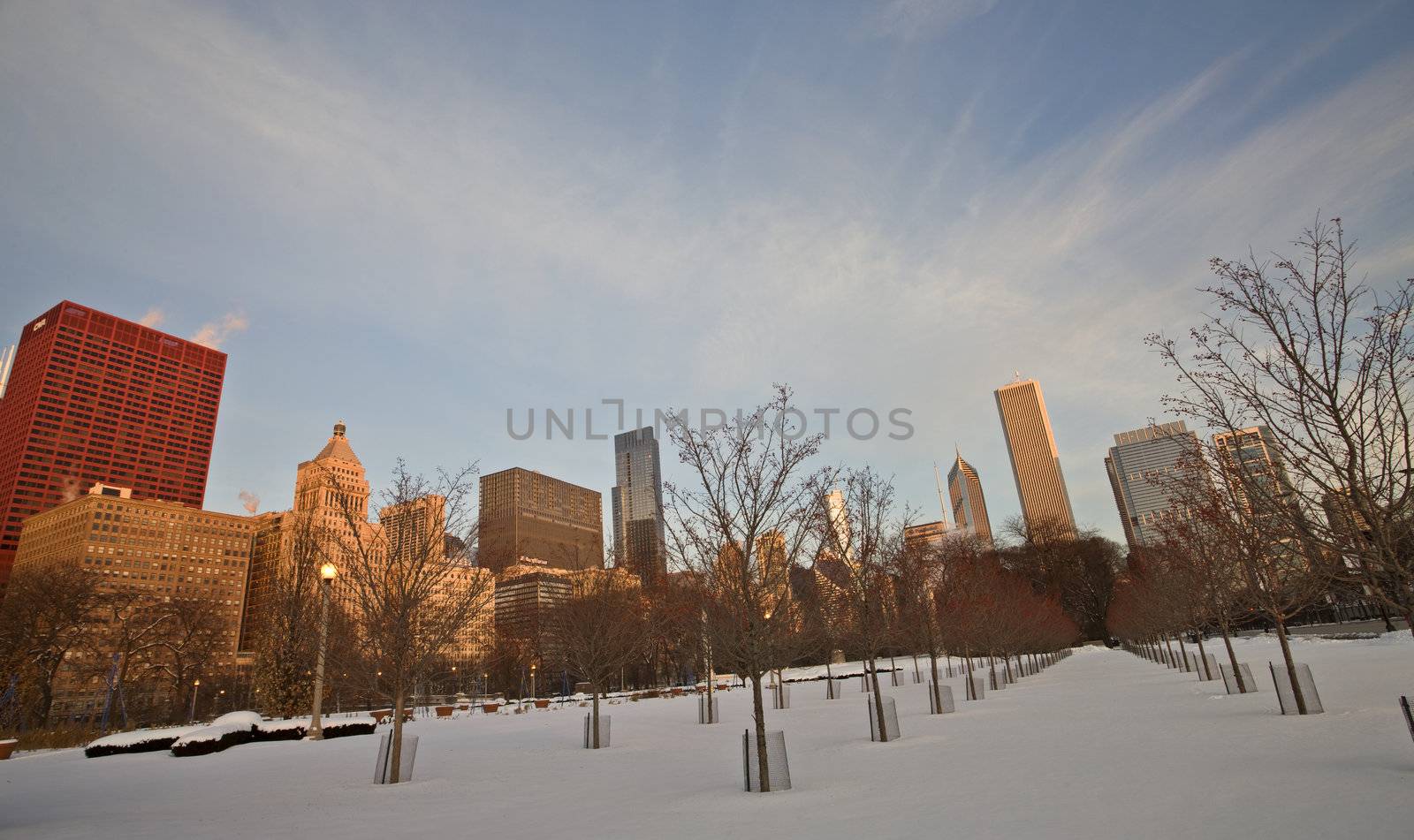 Chicago Downtown City  by pictureguy