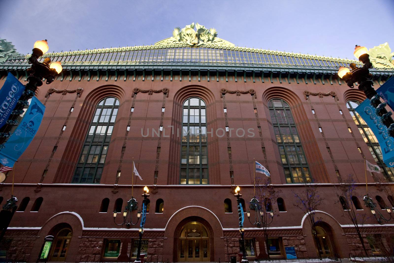 Chicago Downtown City  Library by pictureguy