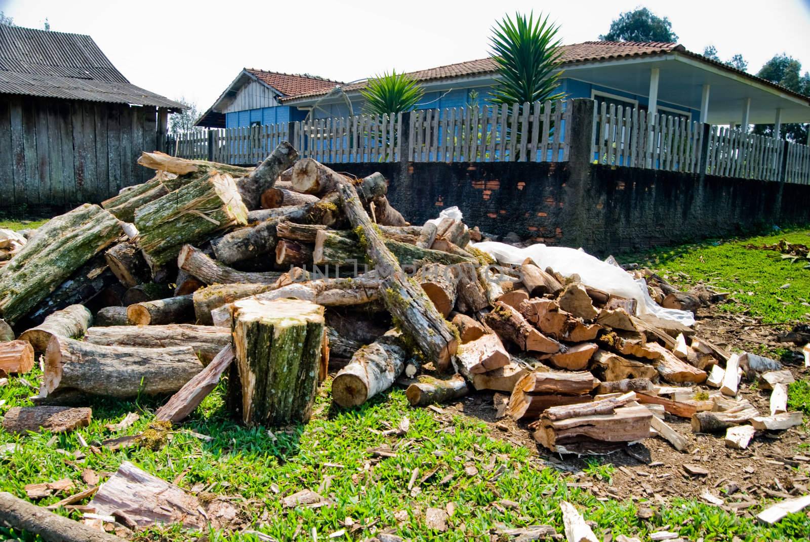 Stack firewood in traditional farm in the state of Parana, southern Brazil.