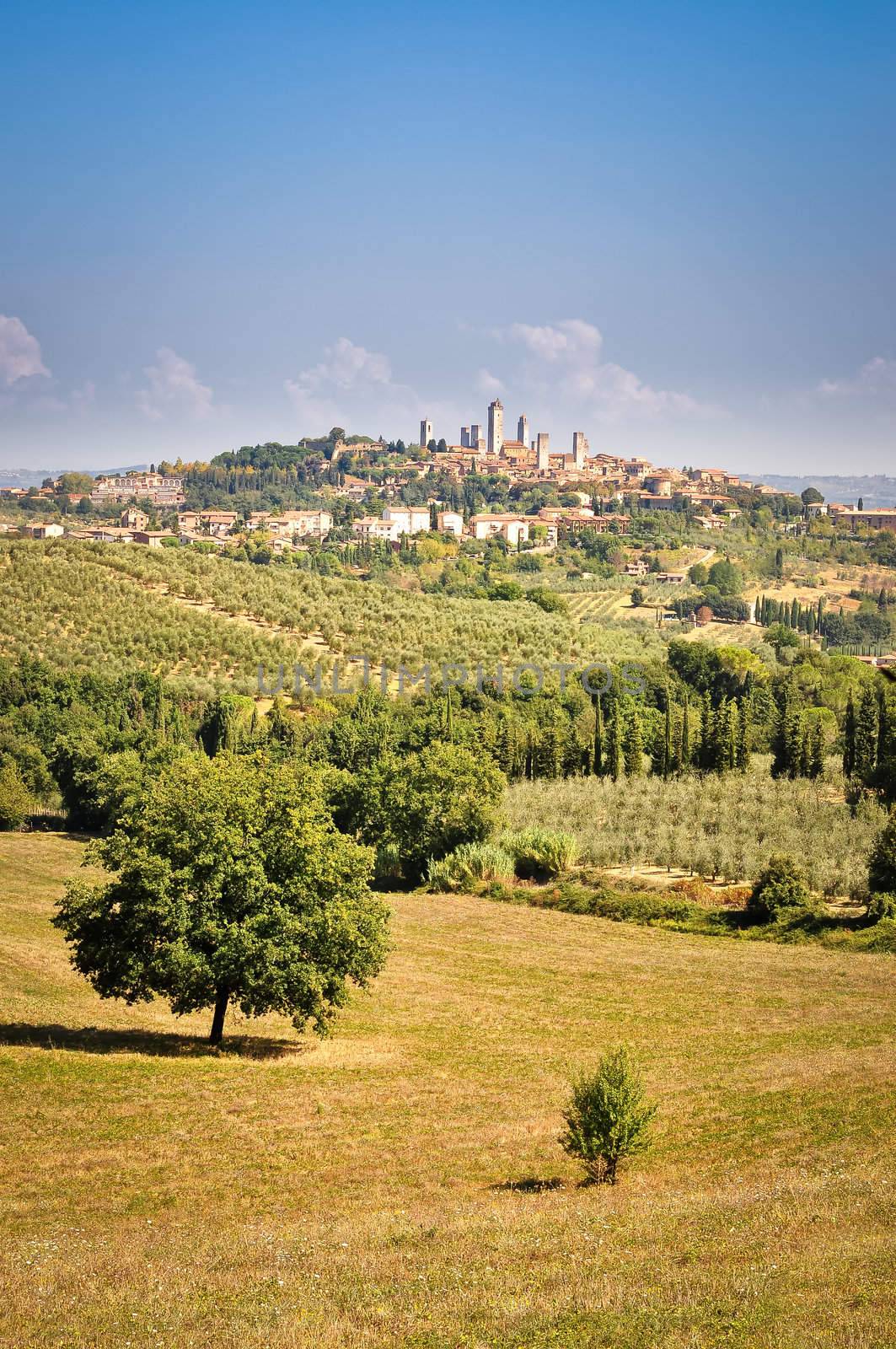 San Gimignano landscape view with fields and meadows by martinm303
