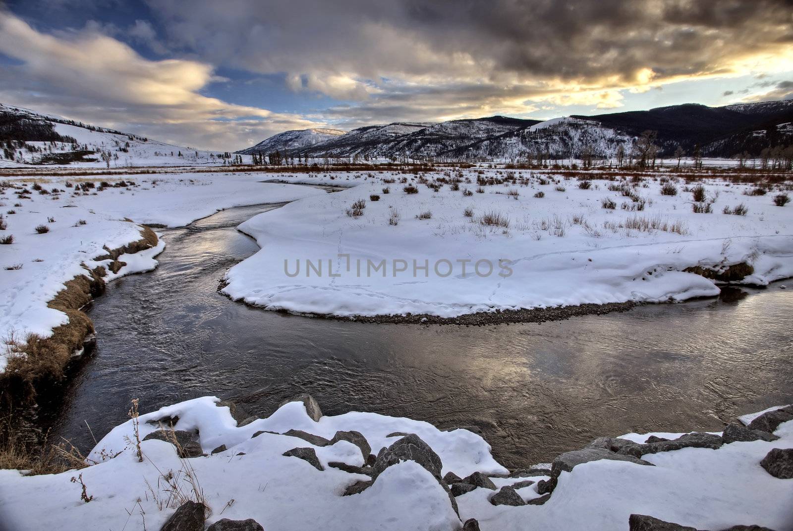 Yellowstone Park Wyoming Winter Snow by pictureguy