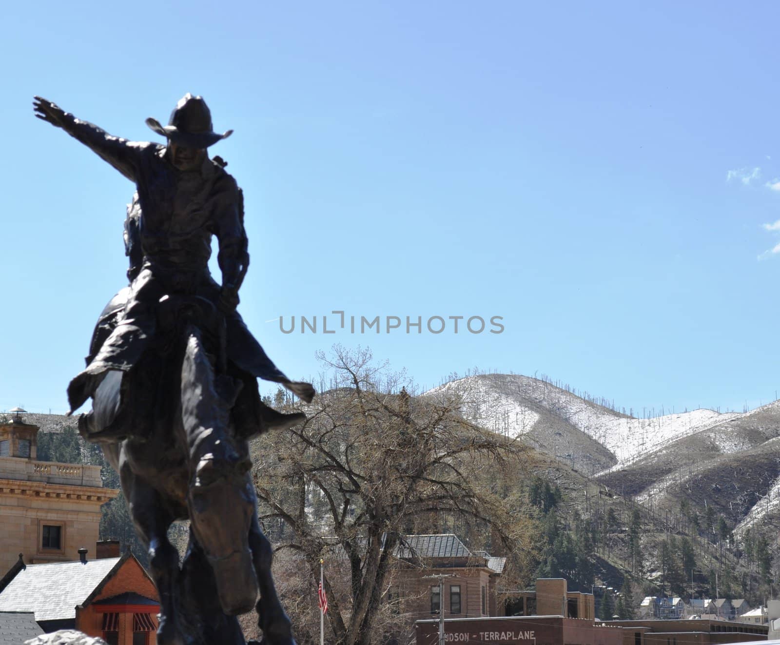 Deadwood rodeo rider background
