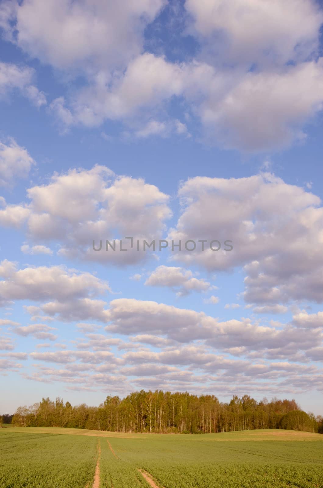 Deserted road an cloudy sky. by sauletas