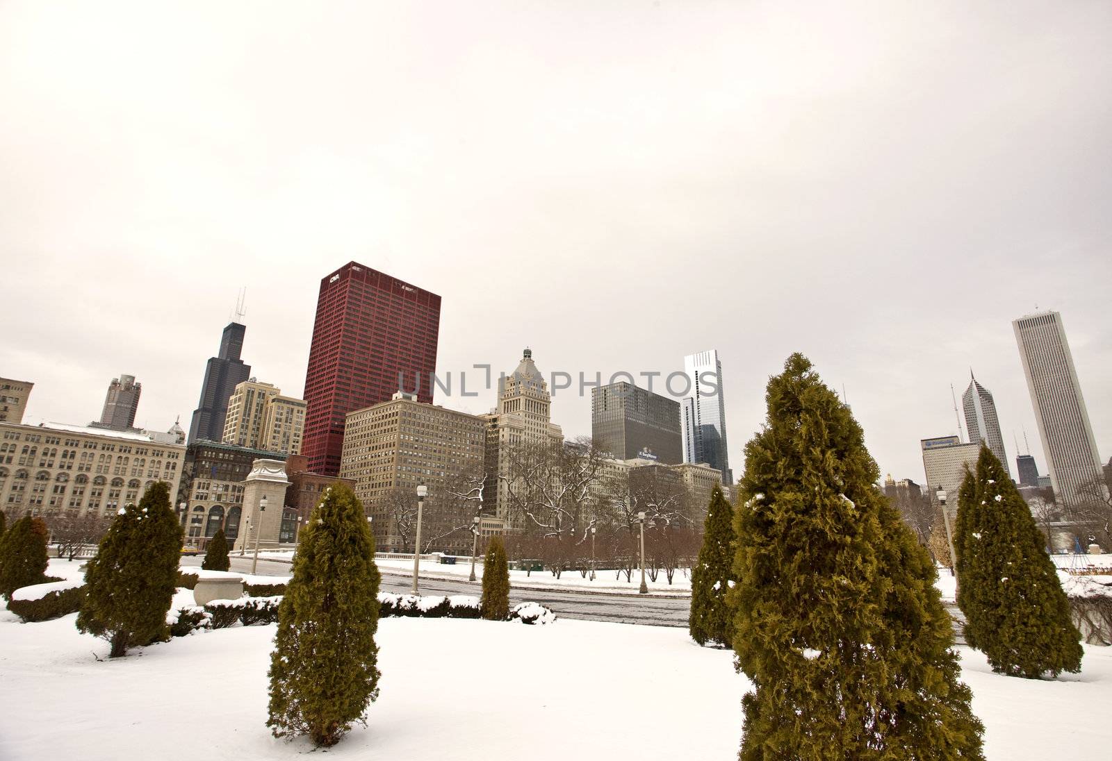 Chicago Downtown City  by pictureguy