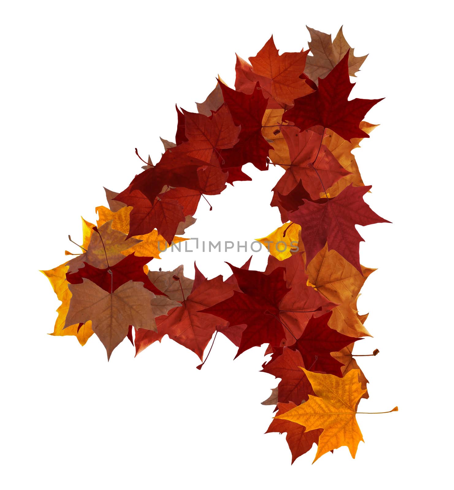 Number four multicolored fall leaf composition isolated by cienpies