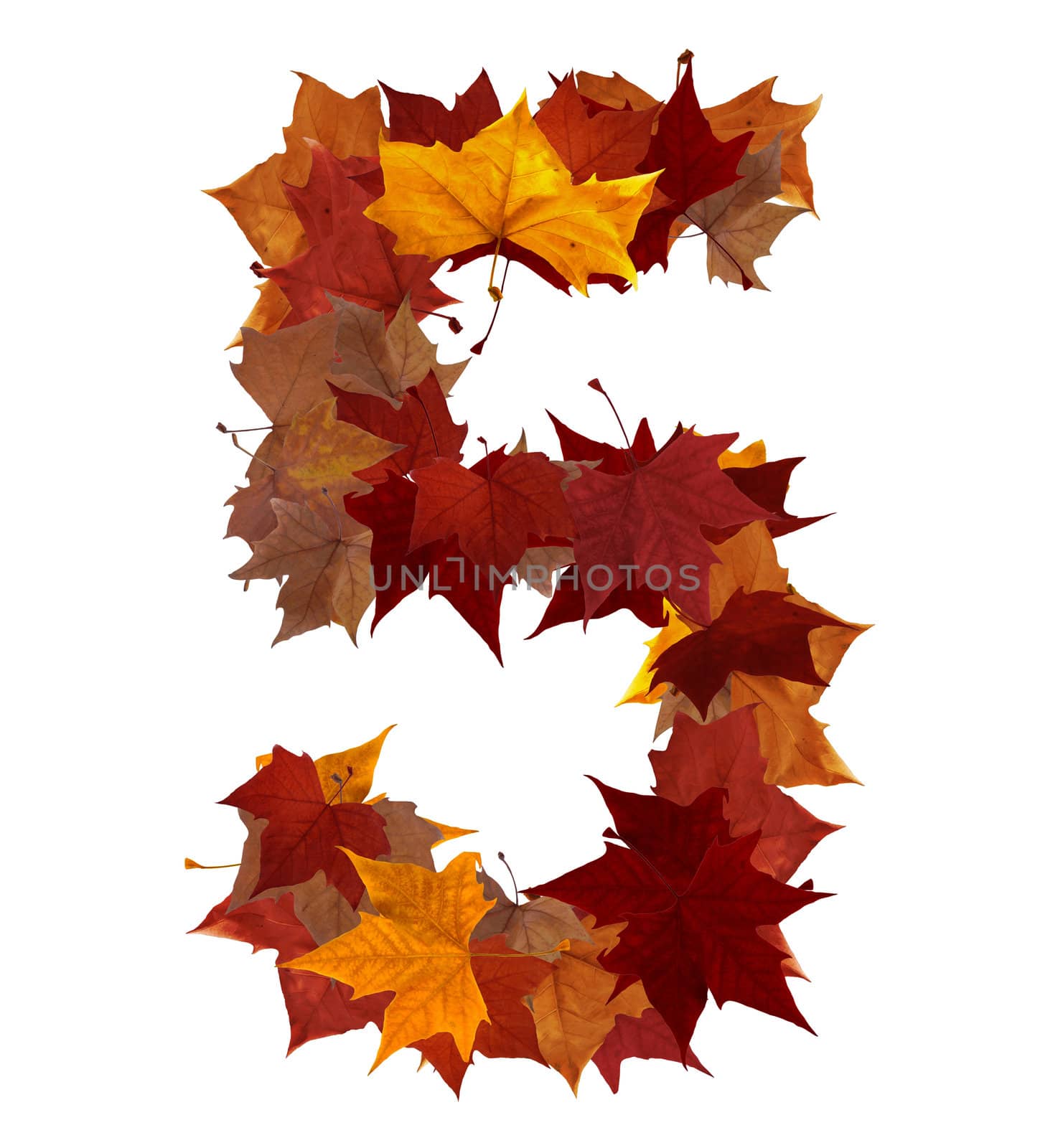 Number 5 made with autumn leaves isolated on white with clipping path. So you can easily cut it out and place over the top of a design. Find others symbols in our portfolio to compose your own words.