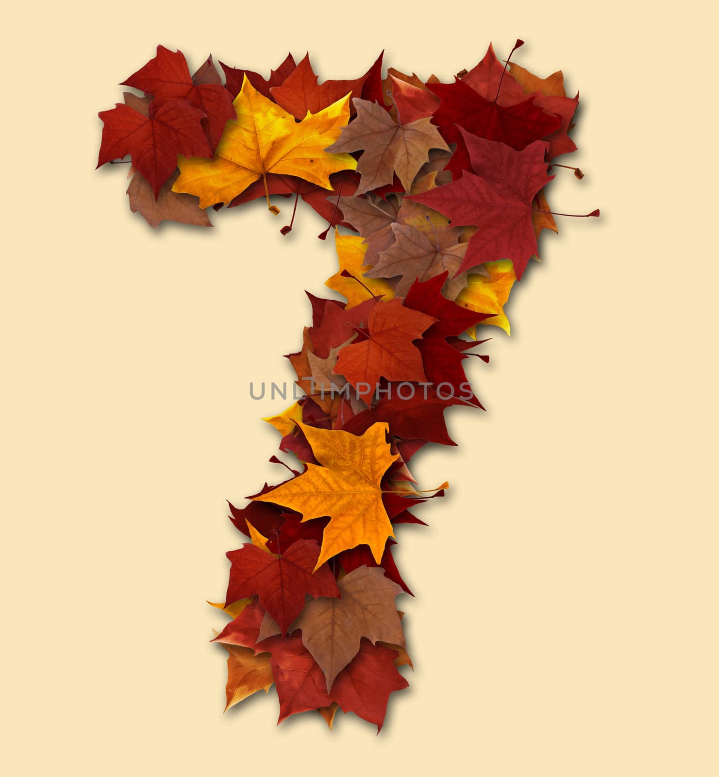 Number seven multicolored fall leaf composition isolated by cienpies